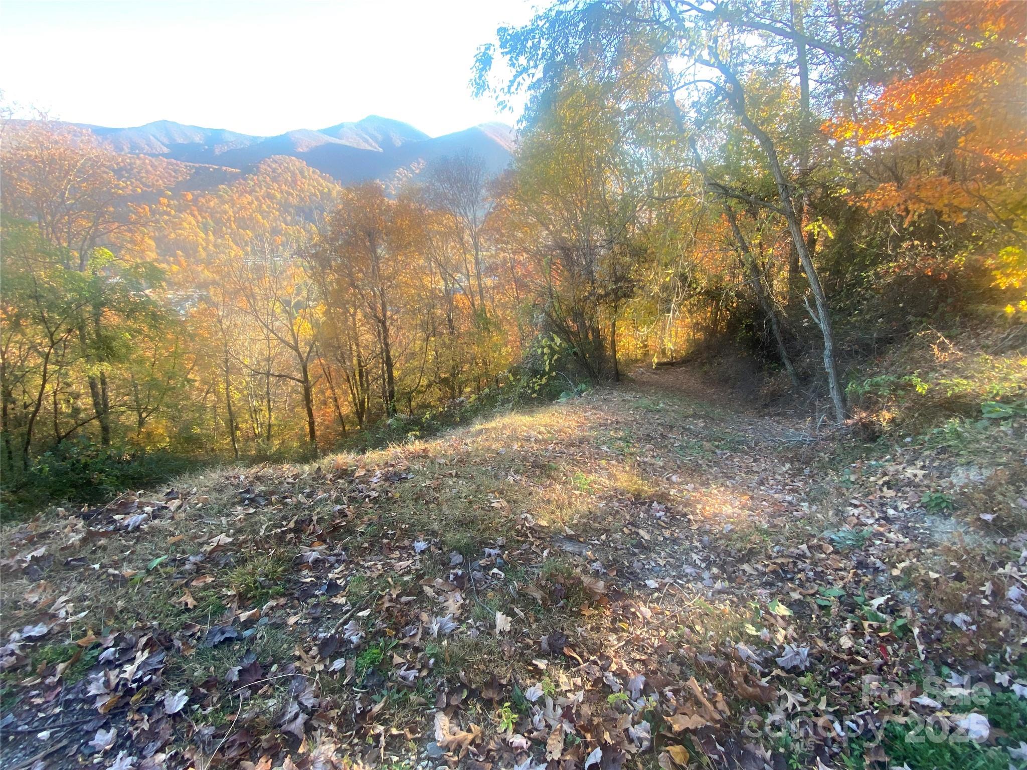 drive down to storage area adjoining building lot - 40 Cougar Lane, Maggie Valley