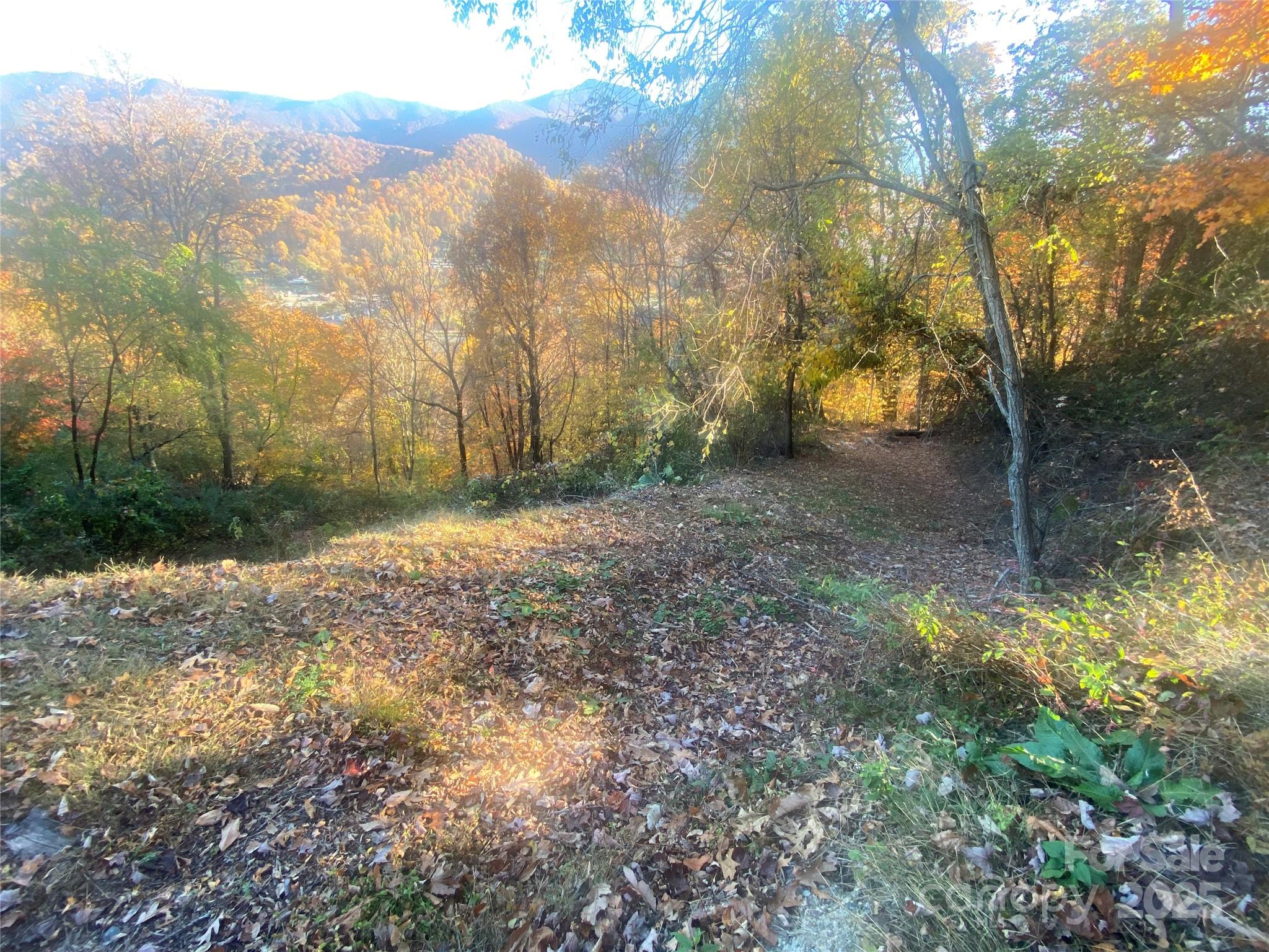 roughed in drive on adjoining lot - - 40 Cougar Lane, Maggie Valley