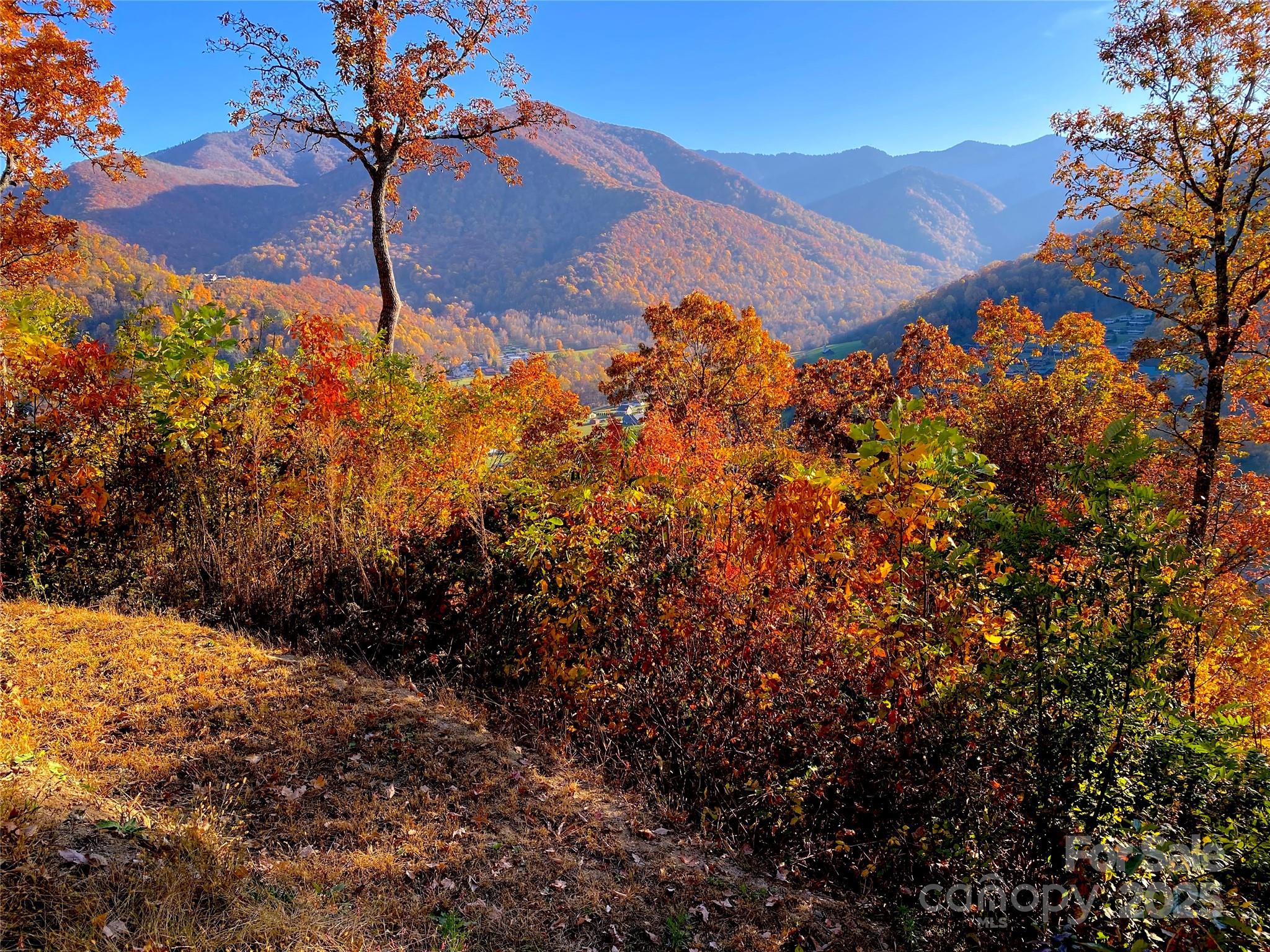 Lot at 40 Cougar Lane, Maggie Valley, photo 36 of 39