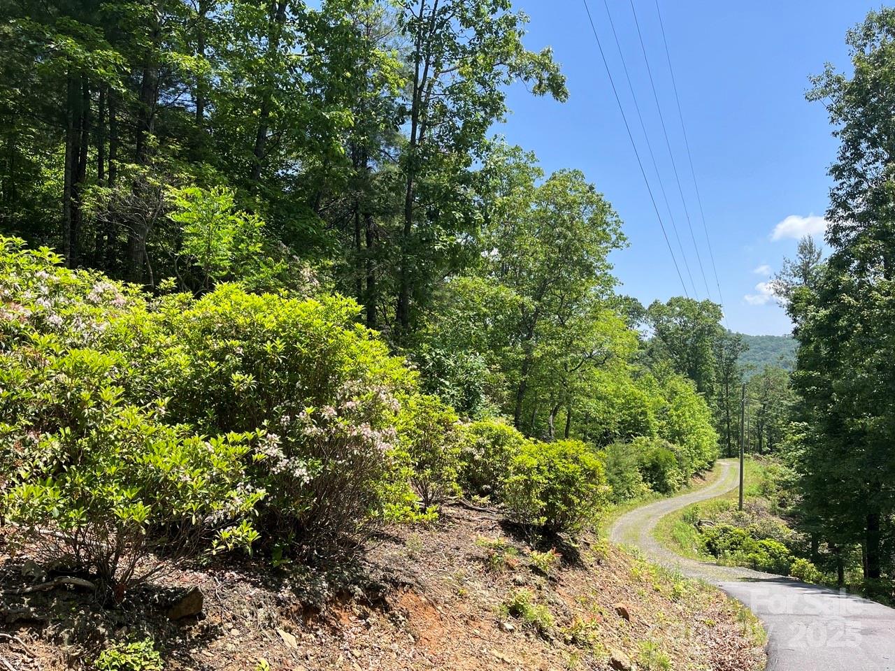 Lot at 0000 Humpback Mountain Road, Spruce Pine, photo 4 of 25