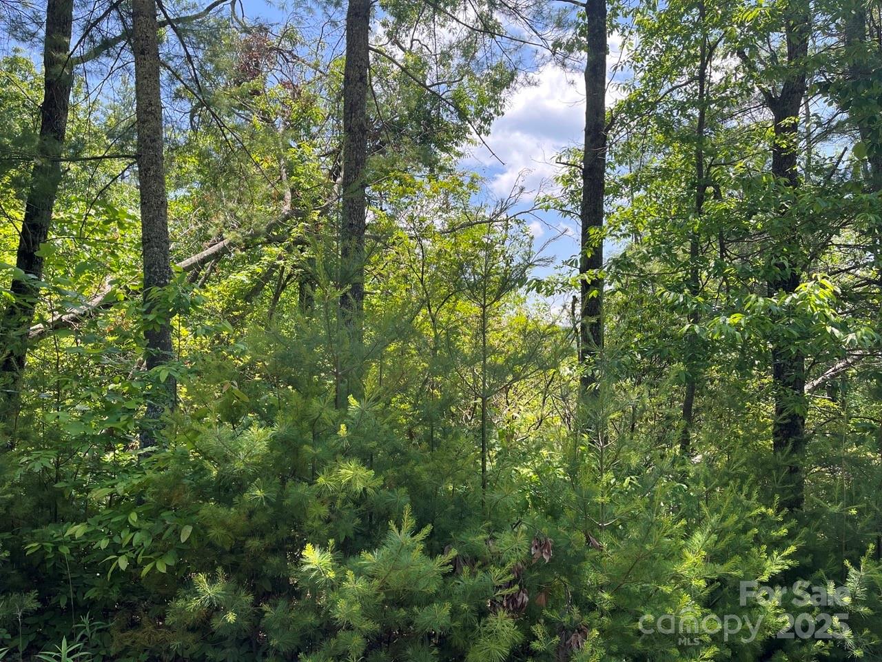 Lot at 0000 Humpback Mountain Road, Spruce Pine, photo 9 of 25