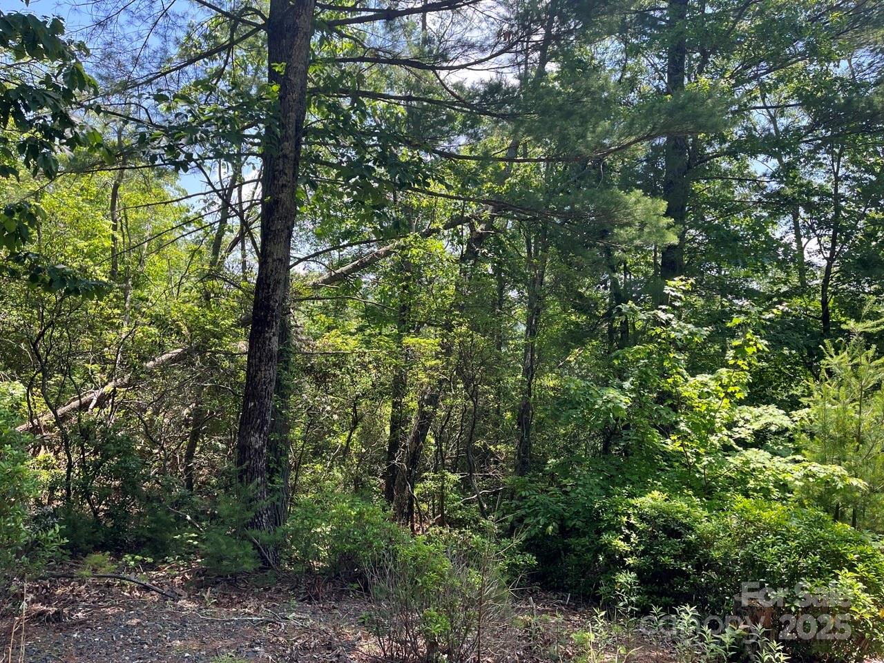 Lot at 0000 Humpback Mountain Road, Spruce Pine, photo 12 of 25