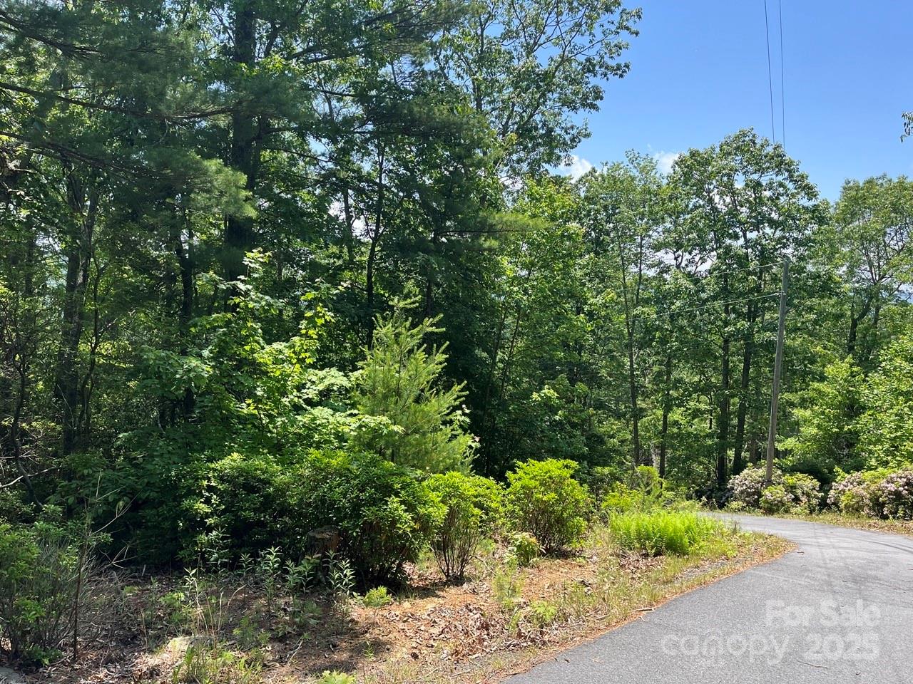 Lot at 0000 Humpback Mountain Road, Spruce Pine, photo 14 of 25