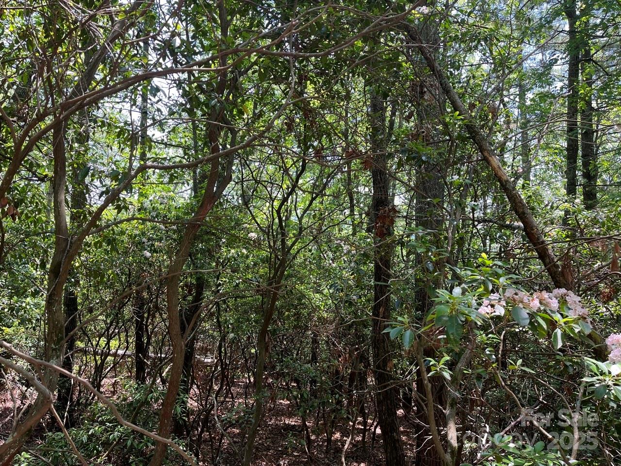 Lot at 0000 Humpback Mountain Road, Spruce Pine, photo 16 of 25
