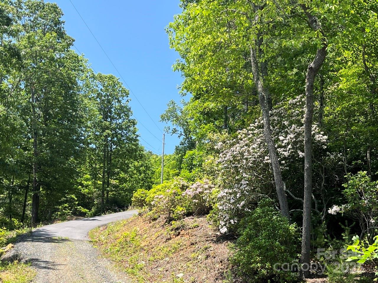 Lot at 0000 Humpback Mountain Road, Spruce Pine, photo 17 of 25