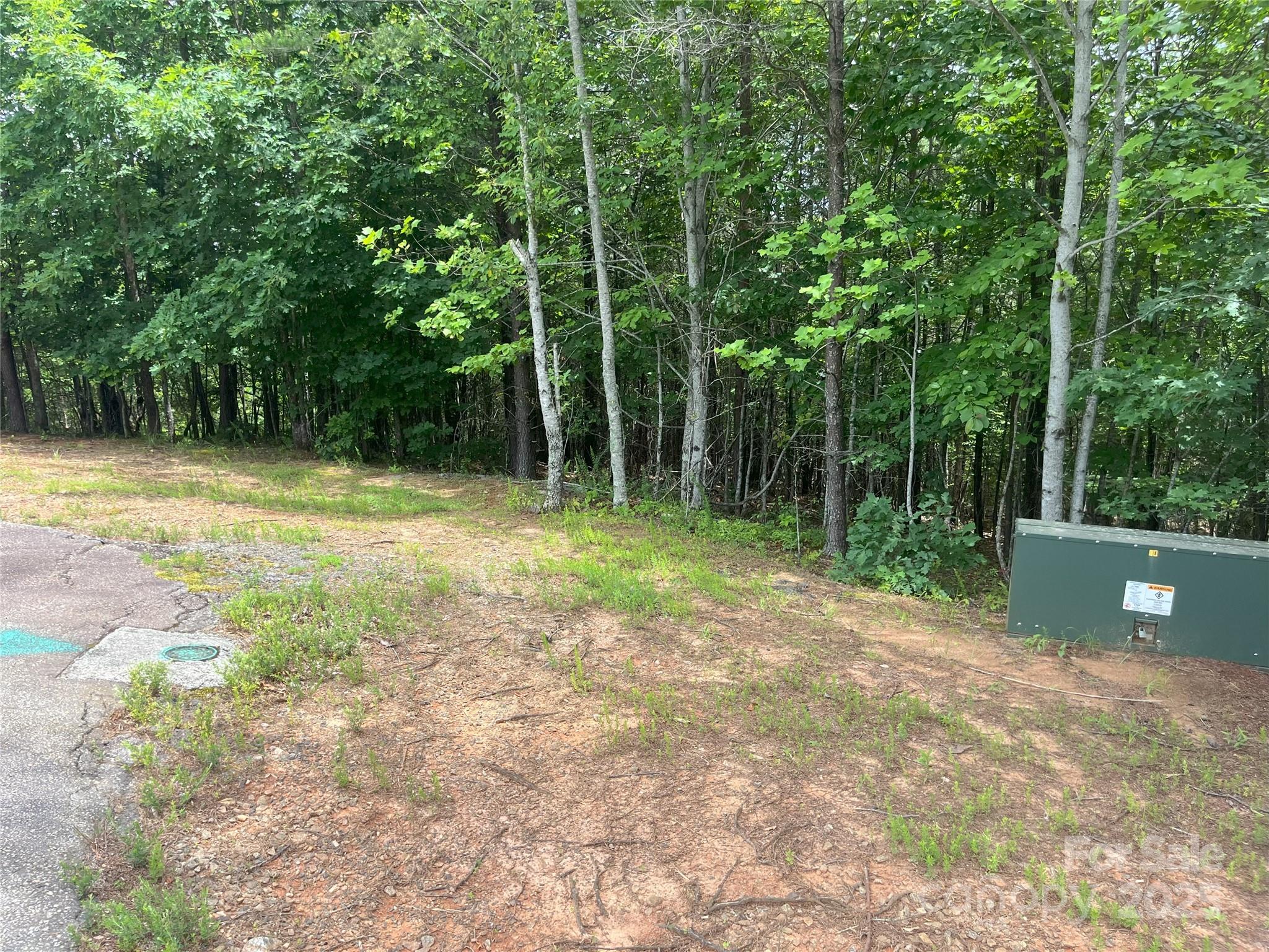 Lot at 00 Deep Gap Road E, Mill Spring, photo 3 of 25