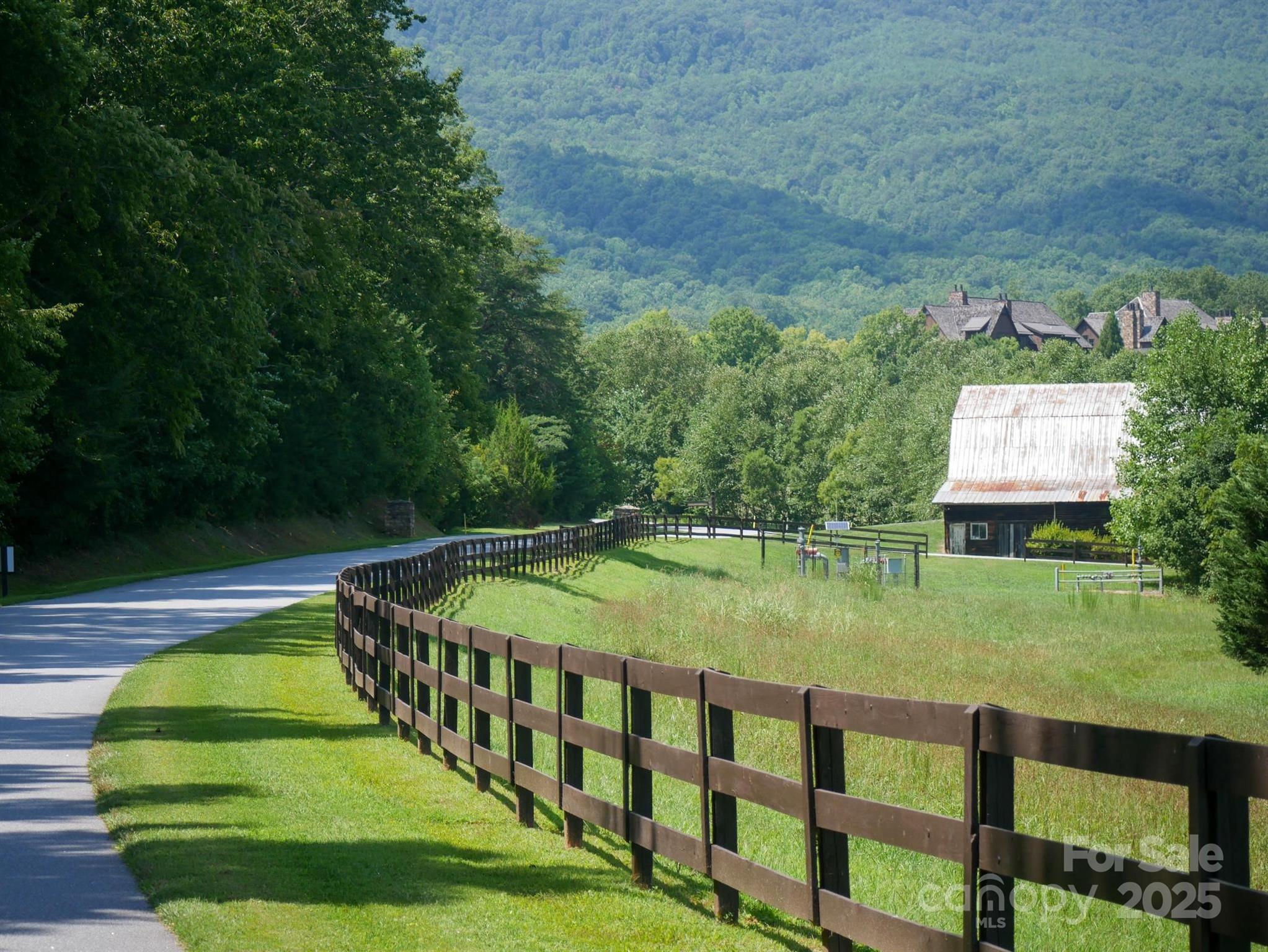 Lot at 00 Deep Gap Road E, Mill Spring, photo 12 of 25