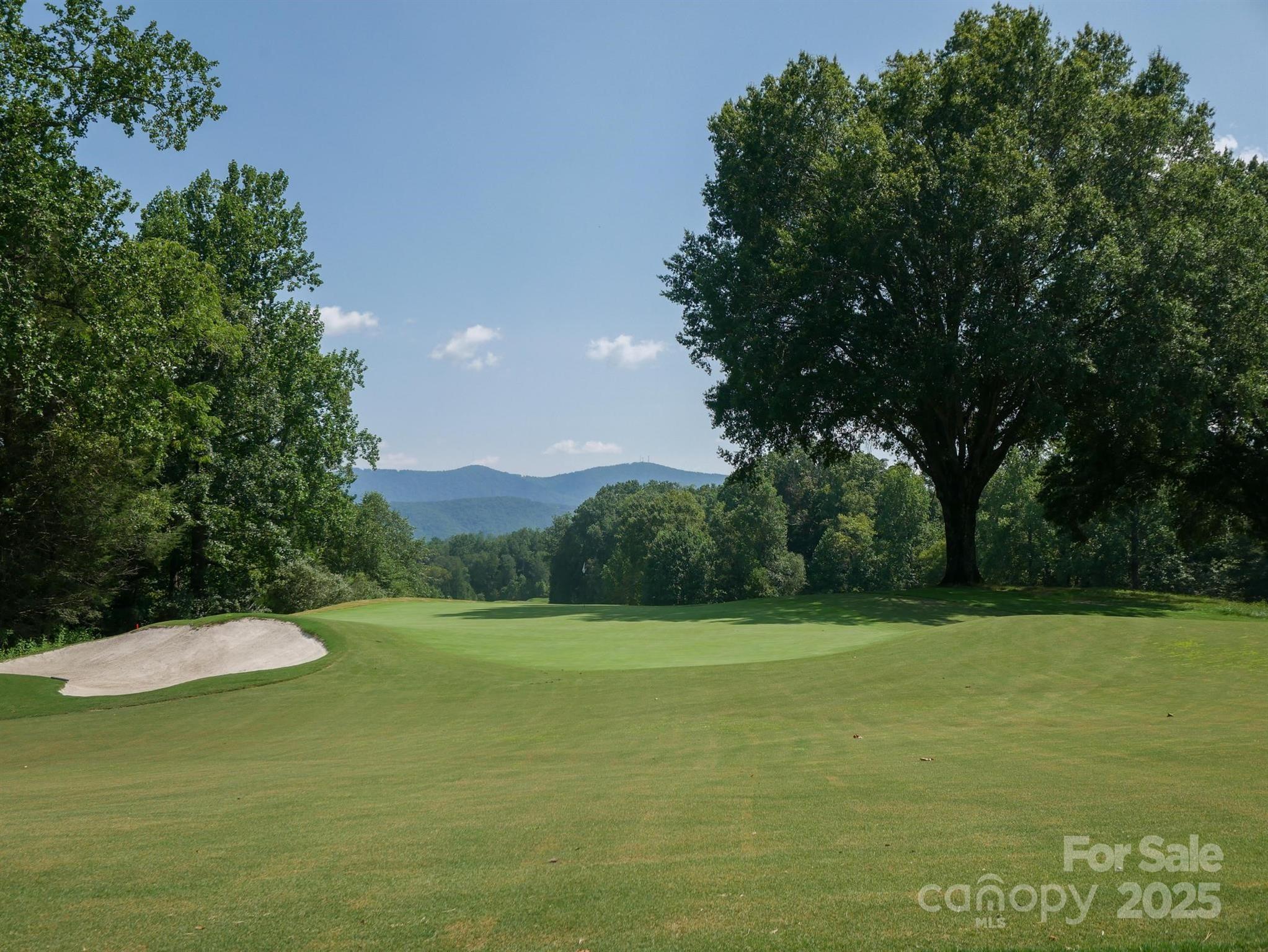Lot at 00 Deep Gap Road E, Mill Spring, photo 17 of 25