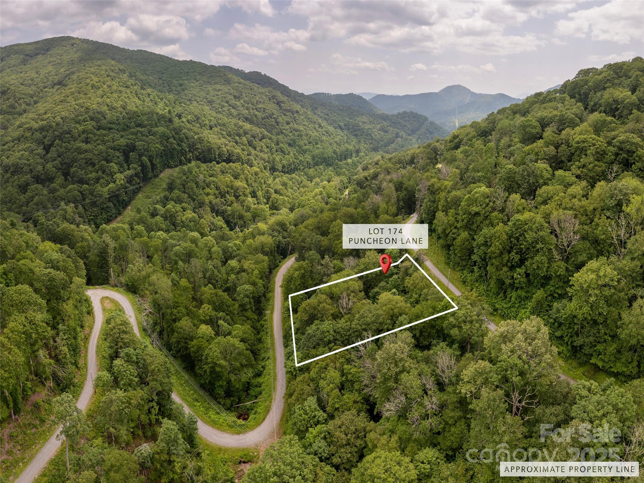 Lot at 000 Puncheon Lane, Mars Hill, photo 2 of 33