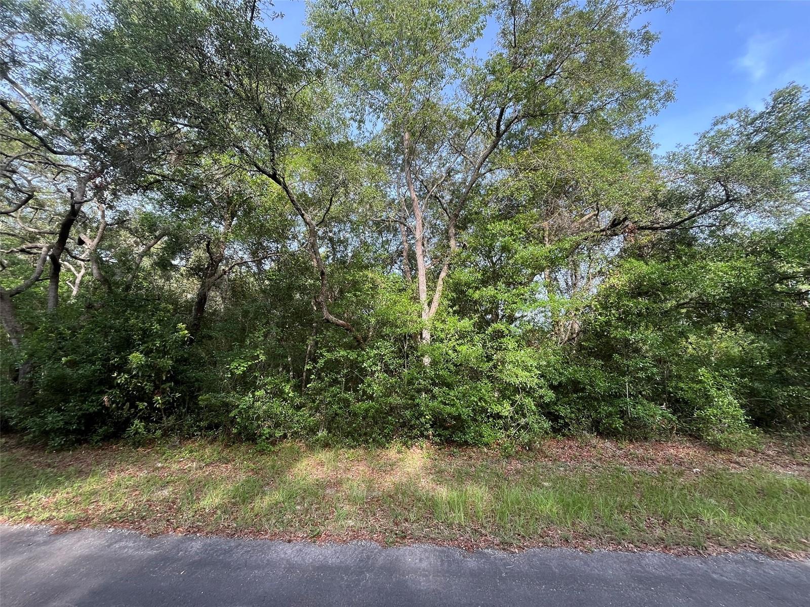 Land at 6634 N PAGODA TREE TER, HERNANDO