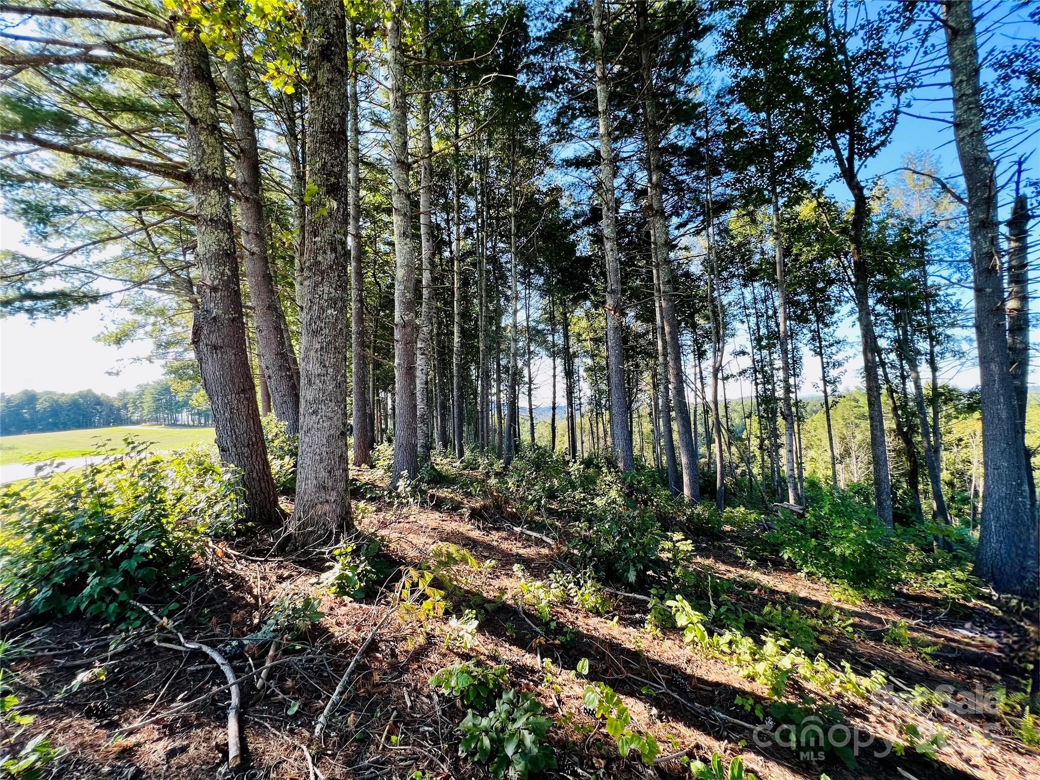 Lot at 2.07 acres, 2058 Thoroughbred Way, Lenoir, photo 2 of 44