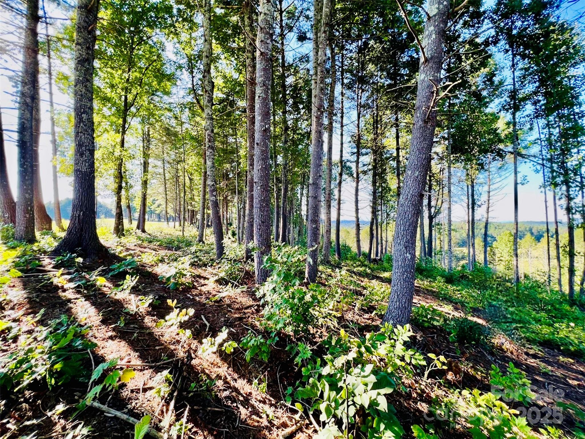 Lot at 2.07 acres, 2058 Thoroughbred Way, Lenoir, photo 4 of 44