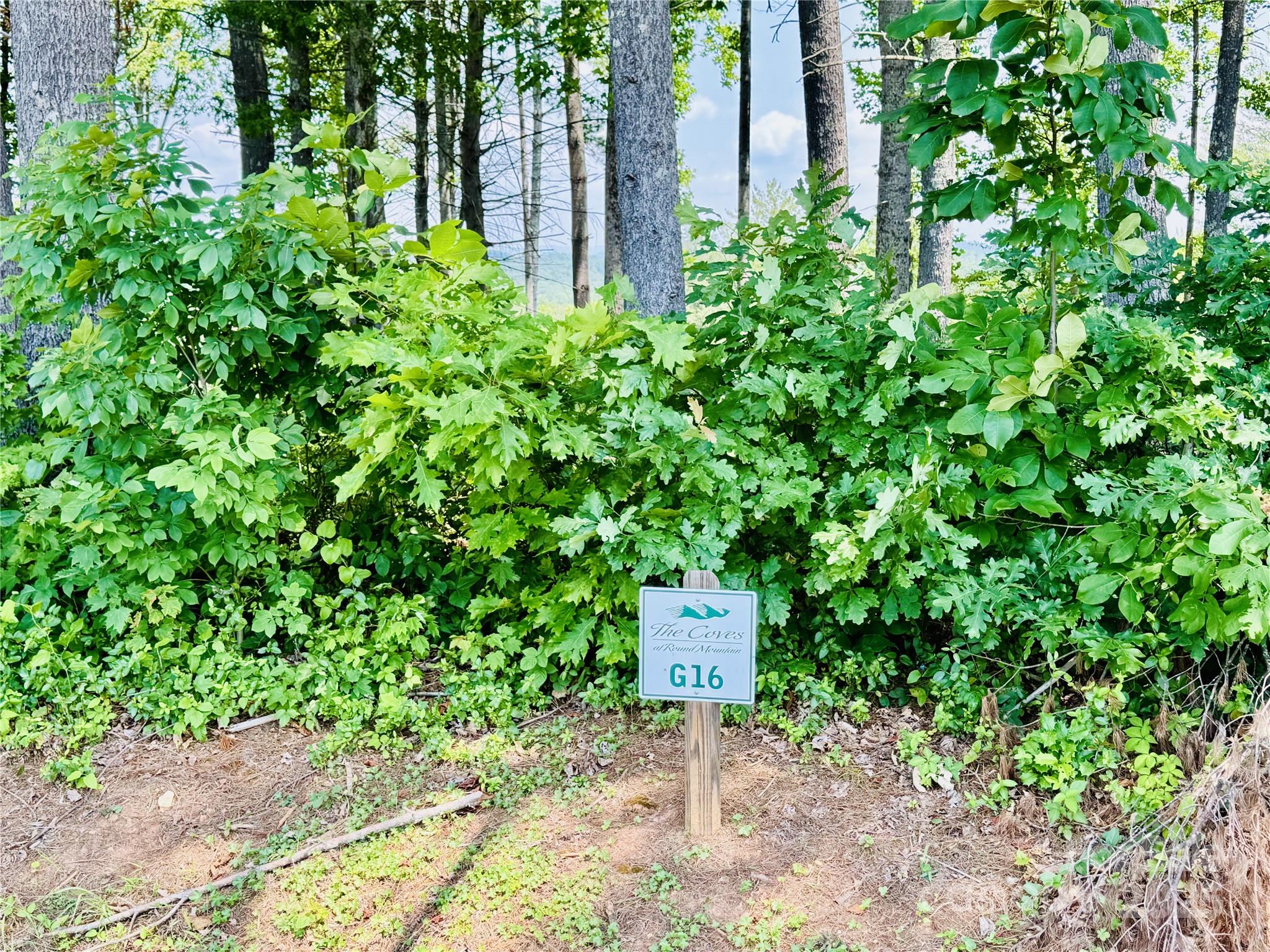 Lot at 2.07 acres, 2058 Thoroughbred Way, Lenoir, photo 5 of 44