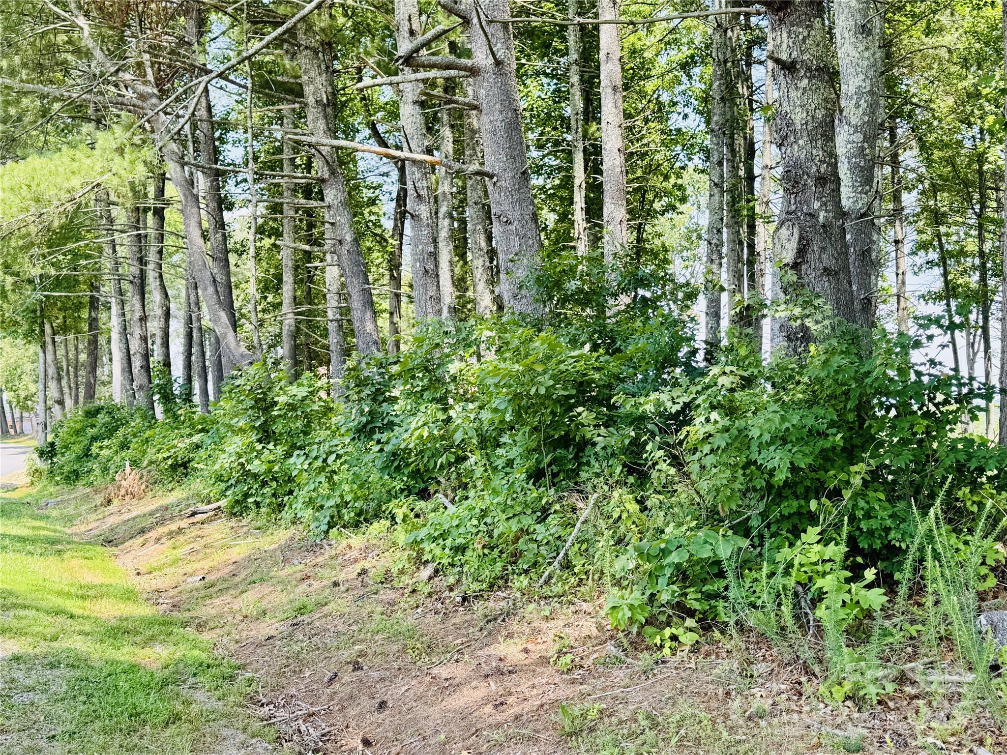 Lot at 2.07 acres, 2058 Thoroughbred Way, Lenoir, photo 7 of 44