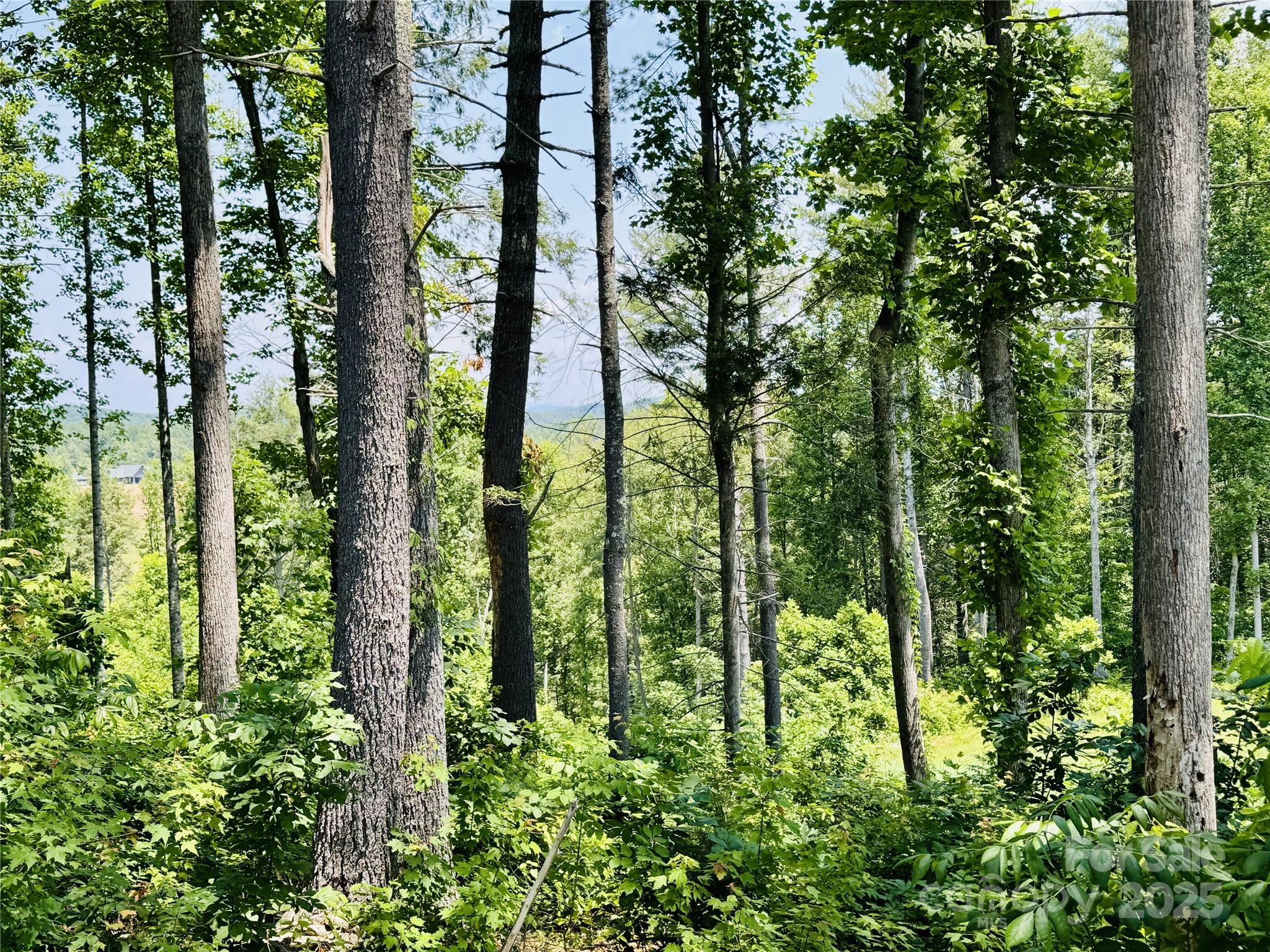 Lot at 2.07 acres, 2058 Thoroughbred Way, Lenoir, photo 8 of 44