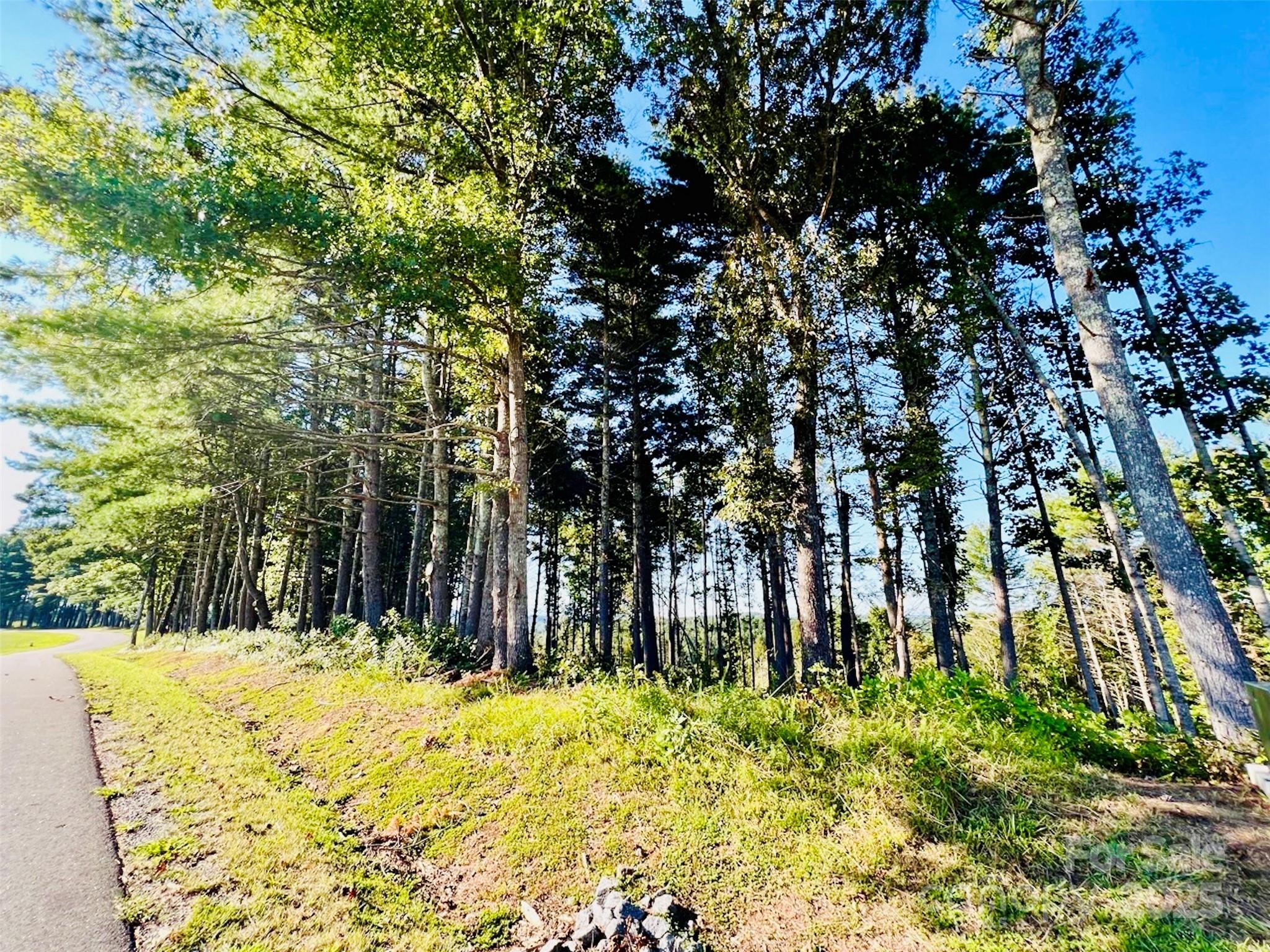 Lot at 2.07 acres, 2058 Thoroughbred Way, Lenoir, photo 9 of 44