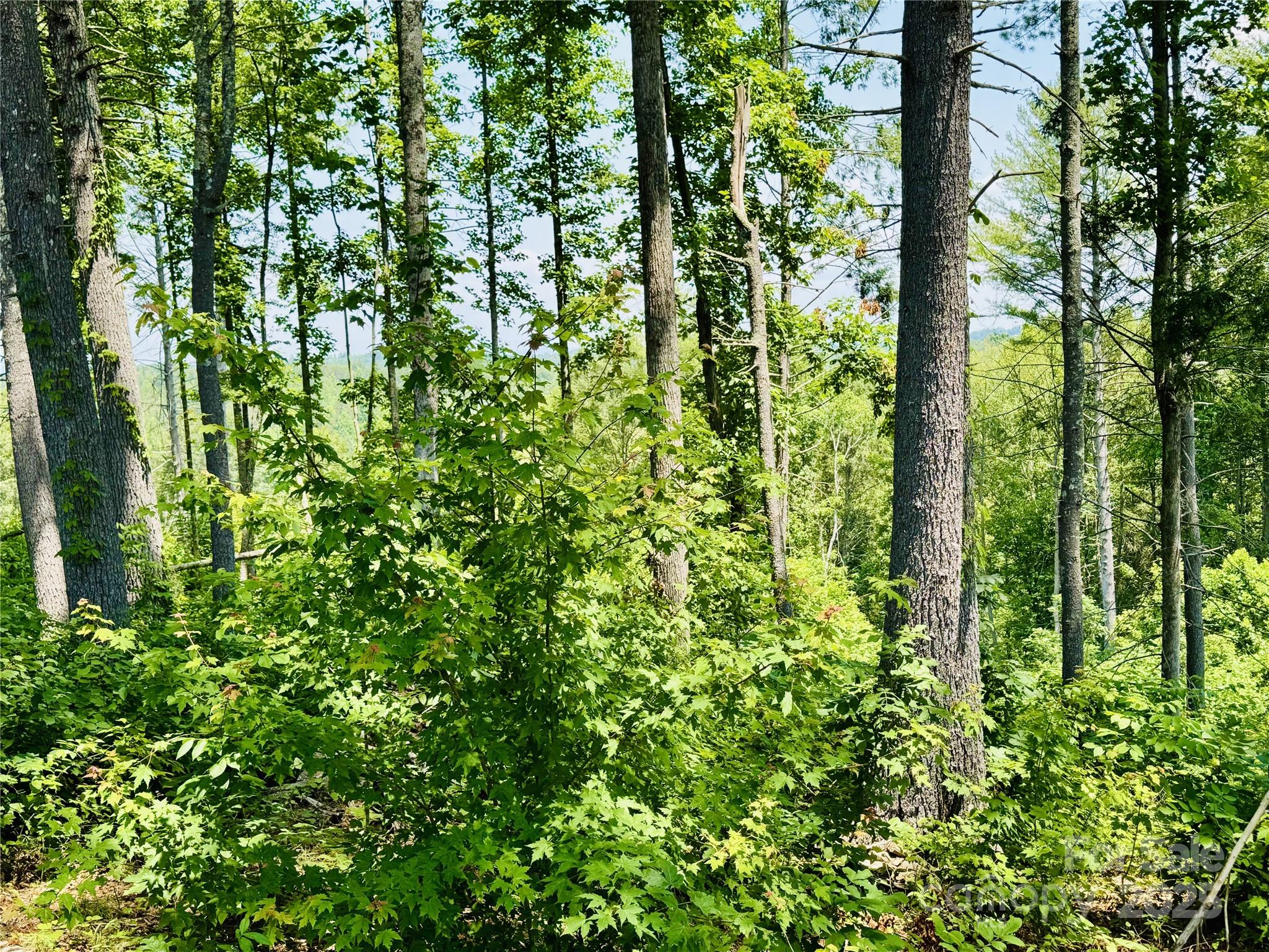 Lot at 2.07 acres, 2058 Thoroughbred Way, Lenoir, photo 10 of 44