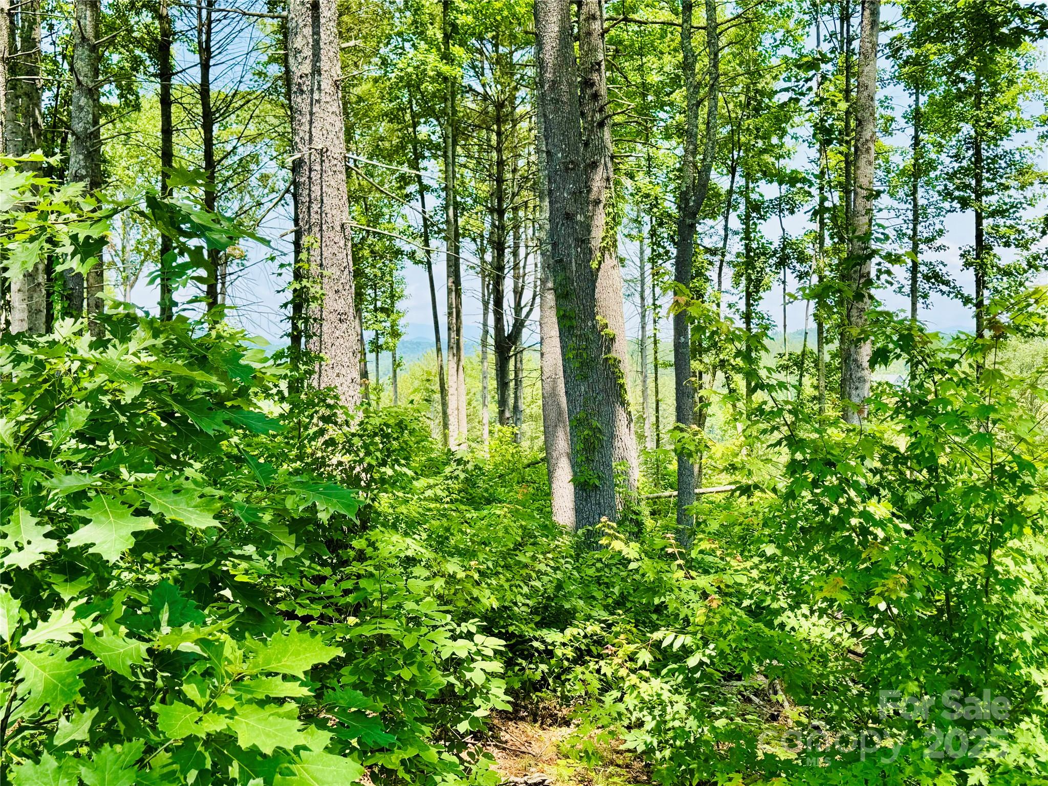Lot at 2.07 acres, 2058 Thoroughbred Way, Lenoir, photo 11 of 44