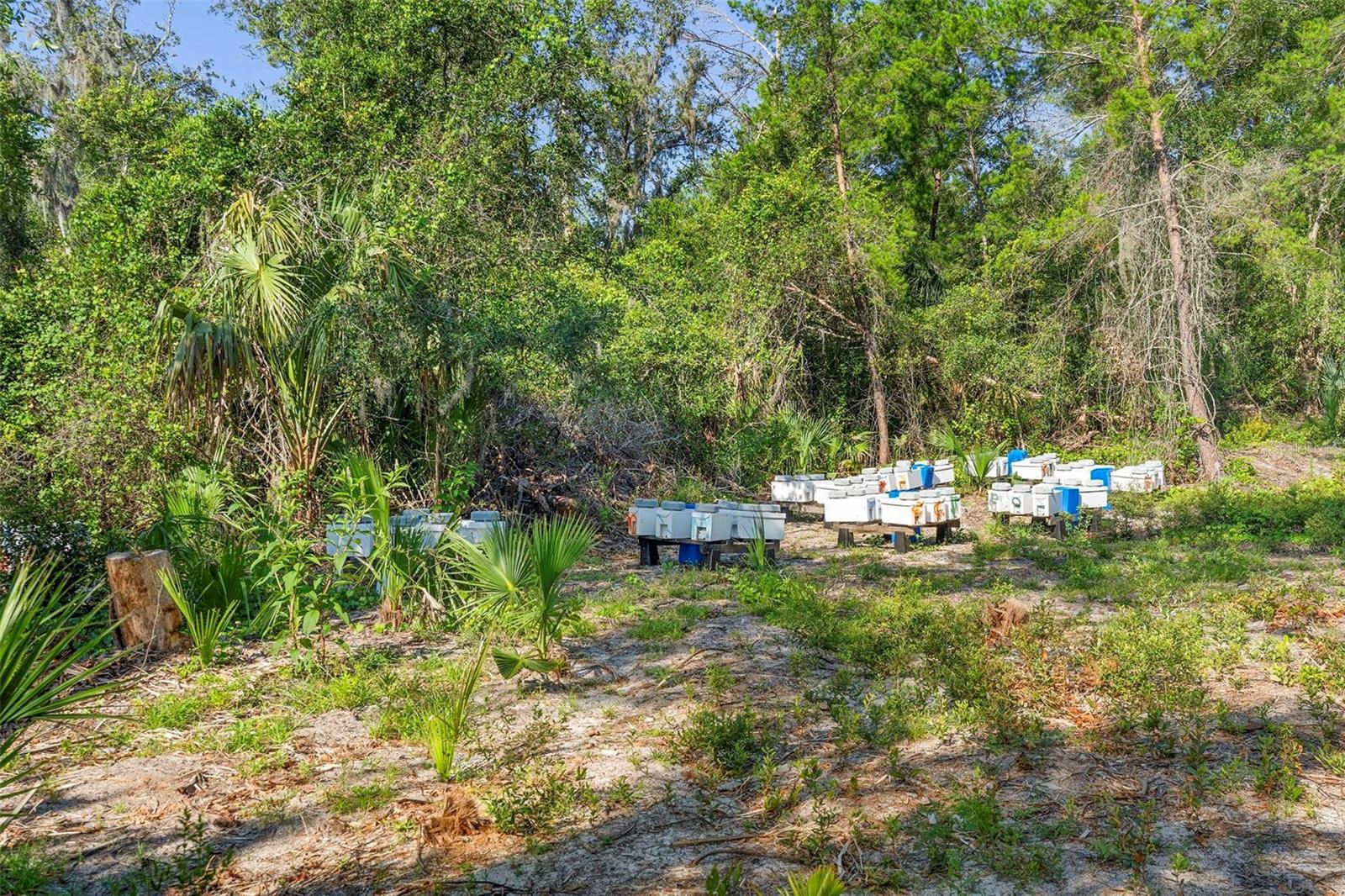 Land at 1835 S GLENCOE RD, NEW SMYRNA BEACH, photo 18 of 31