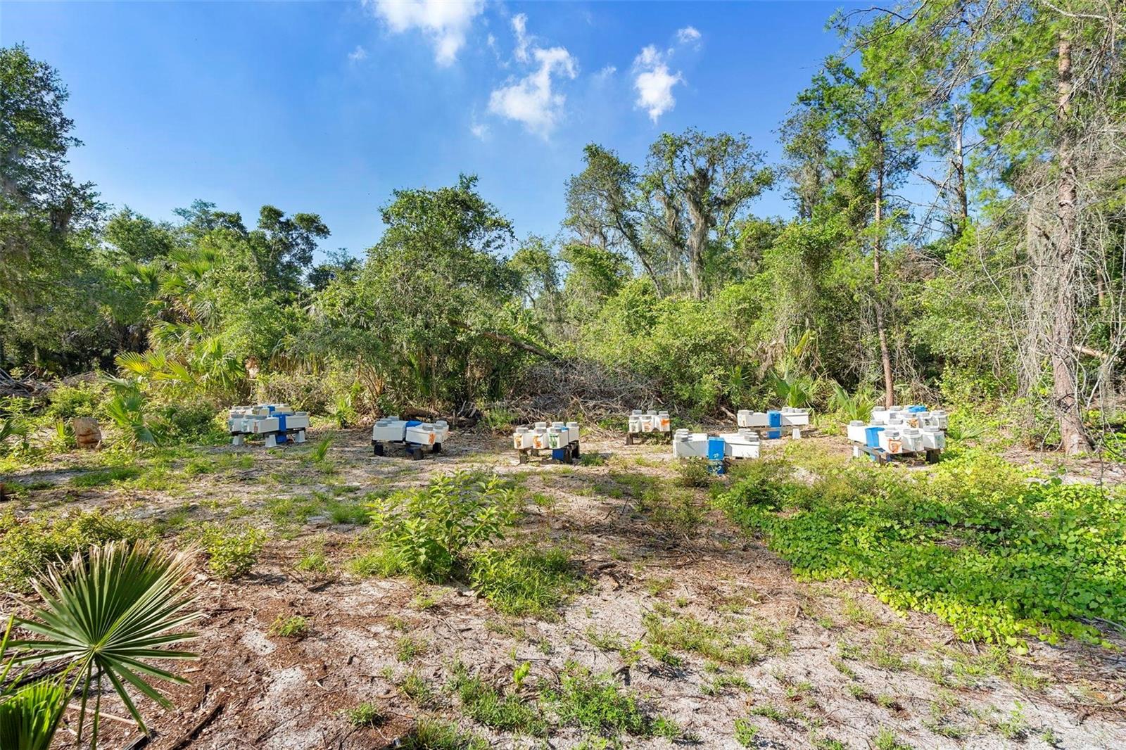 Land at 1835 S GLENCOE RD, NEW SMYRNA BEACH, photo 19 of 31