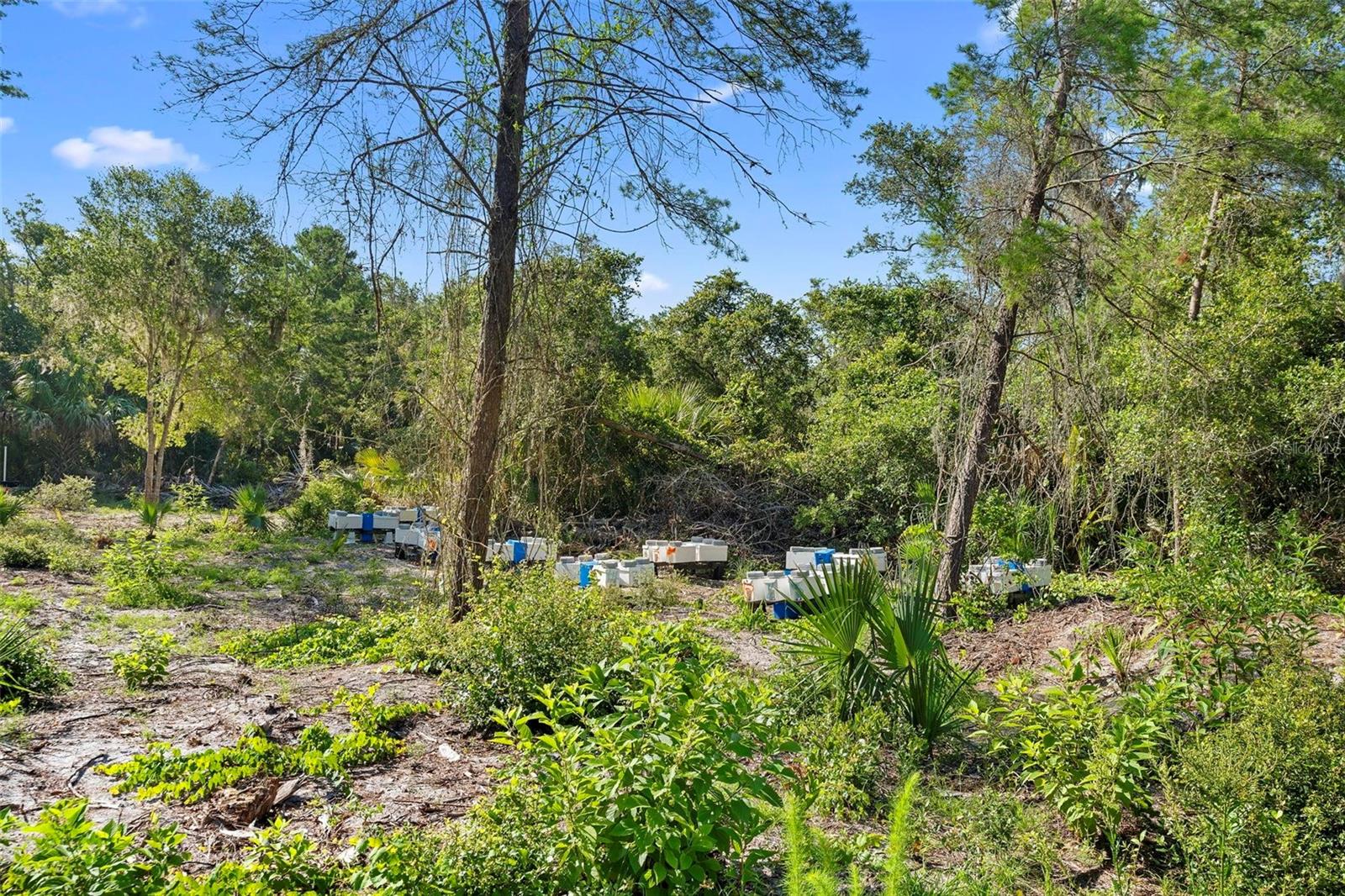 Land at 1835 S GLENCOE RD, NEW SMYRNA BEACH, photo 20 of 31