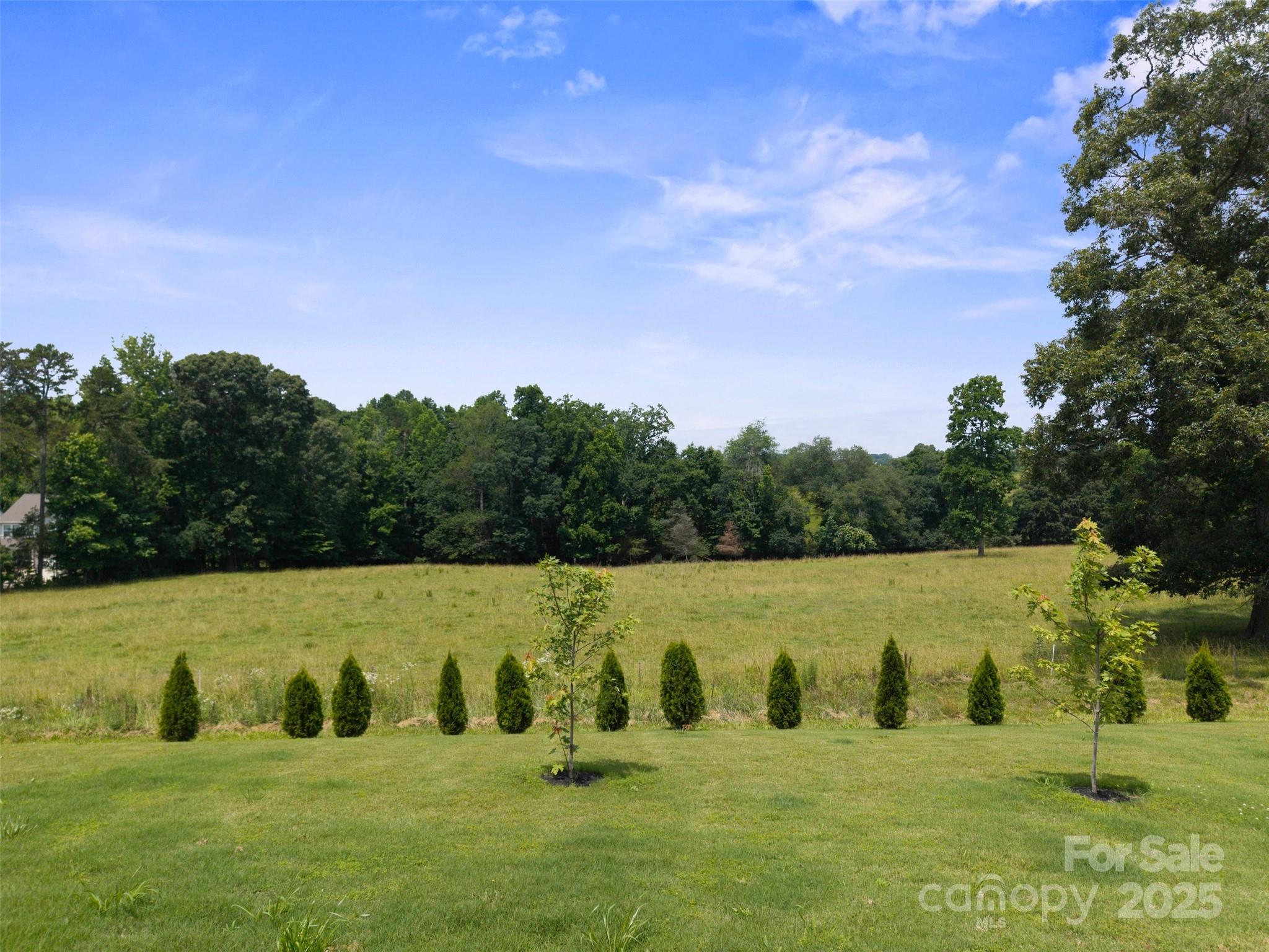 Scenic view from the back porch! - 117 Carmine Court, Troutman