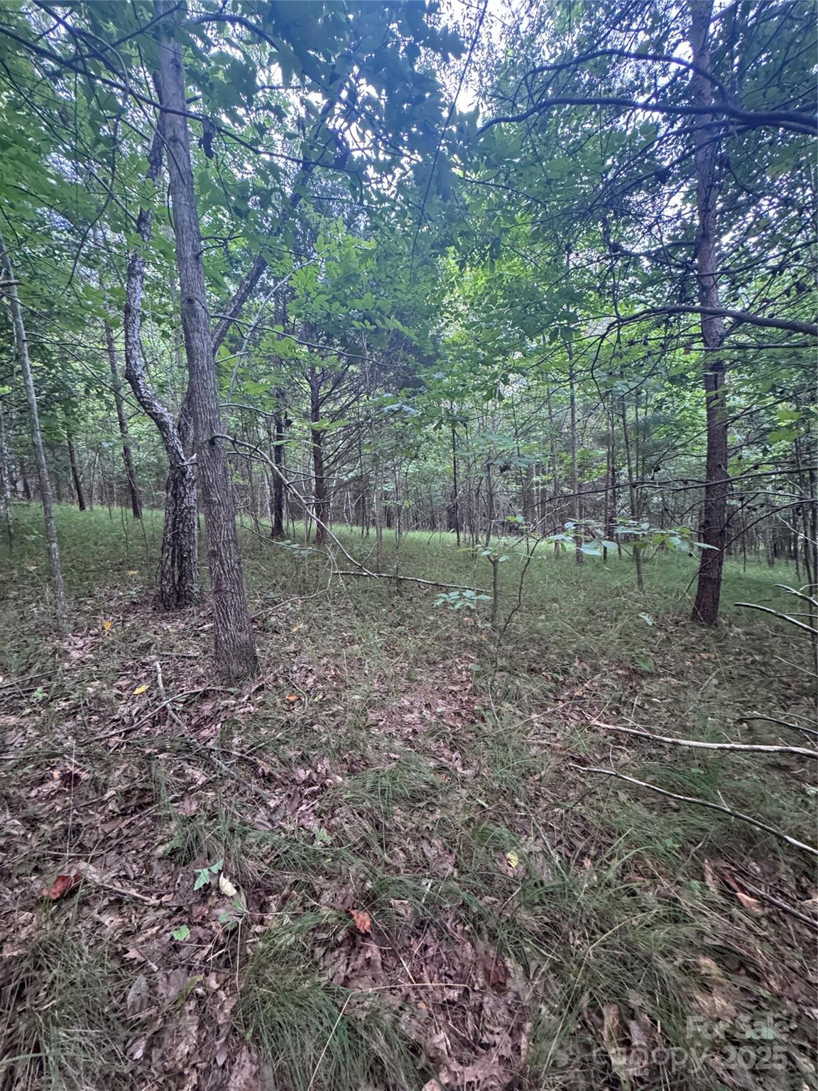 0 Cross Creek Drive