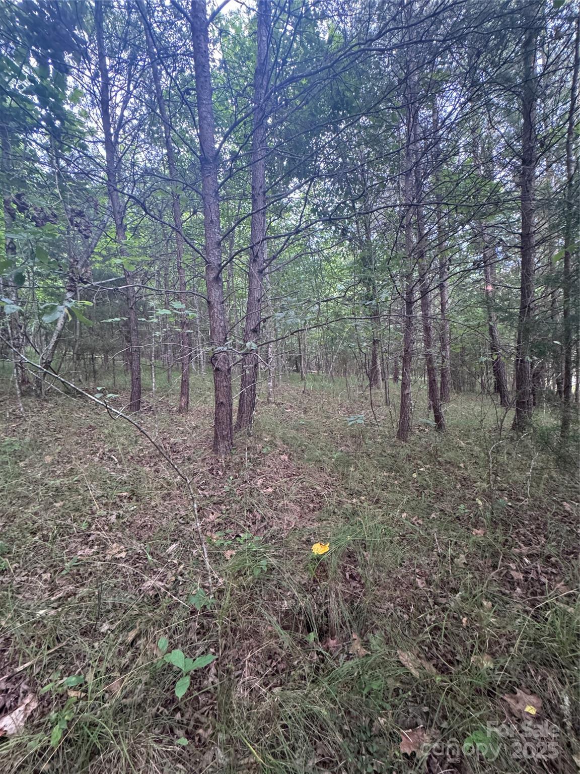 Lot at 0 Cross Creek Drive, Rutherfordton, photo 2 of 17