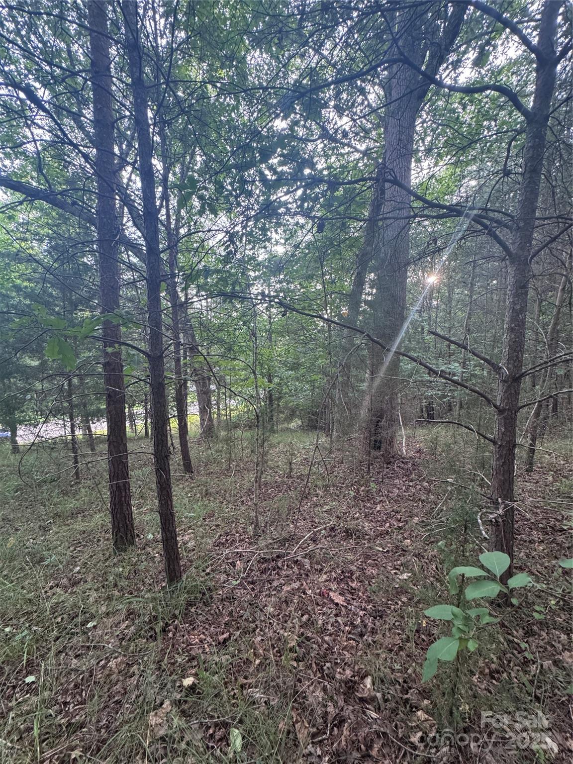 Lot at 0 Cross Creek Drive, Rutherfordton, photo 3 of 17