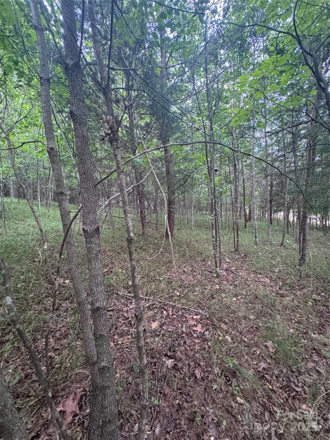 Lot at 0 Cross Creek Drive, Rutherfordton, photo 4 of 17