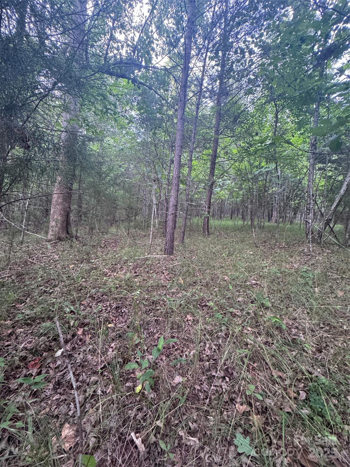 Lot at 0 Cross Creek Drive, Rutherfordton, photo 5 of 17