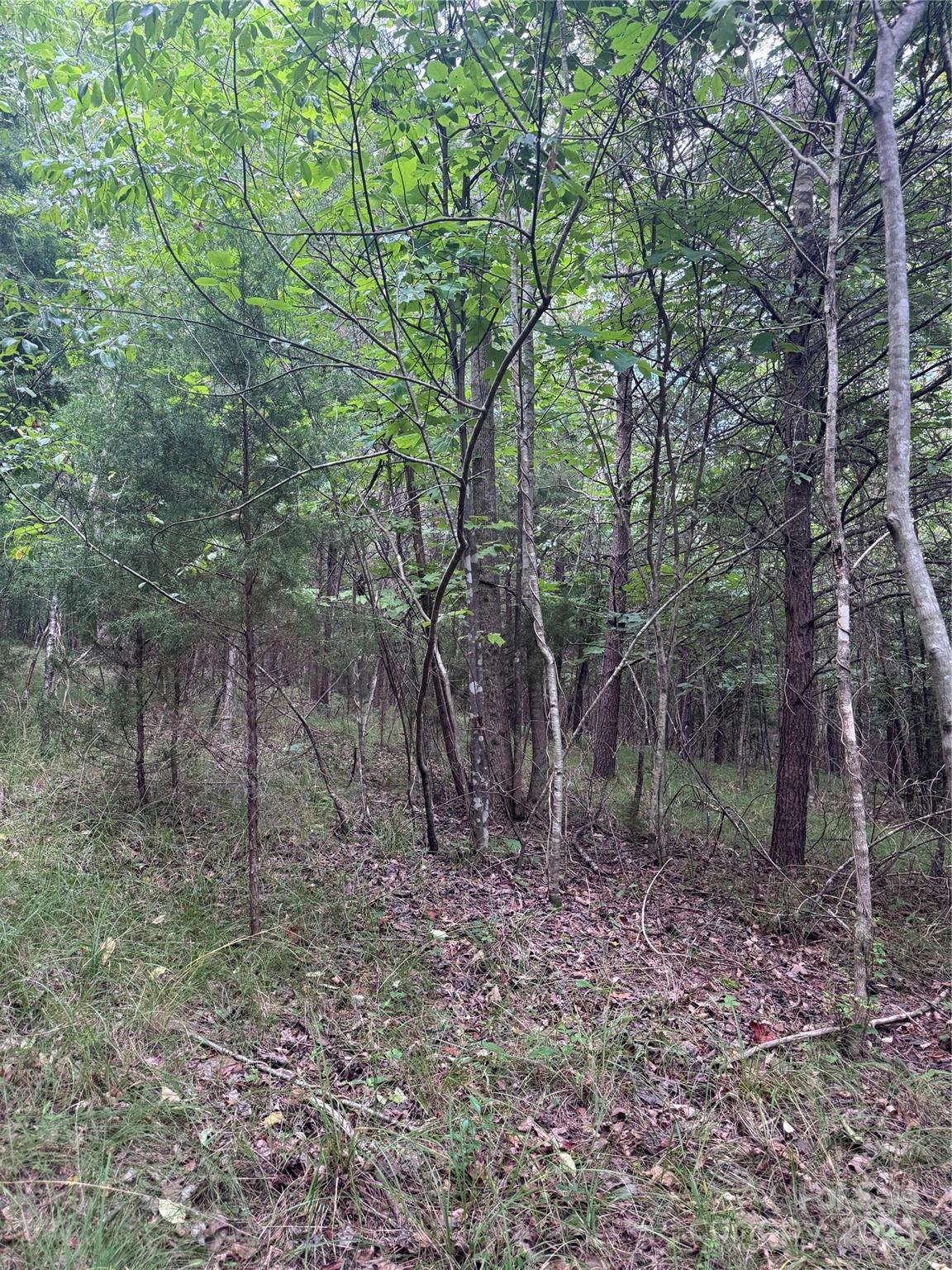 Lot at 0 Cross Creek Drive, Rutherfordton, photo 6 of 17