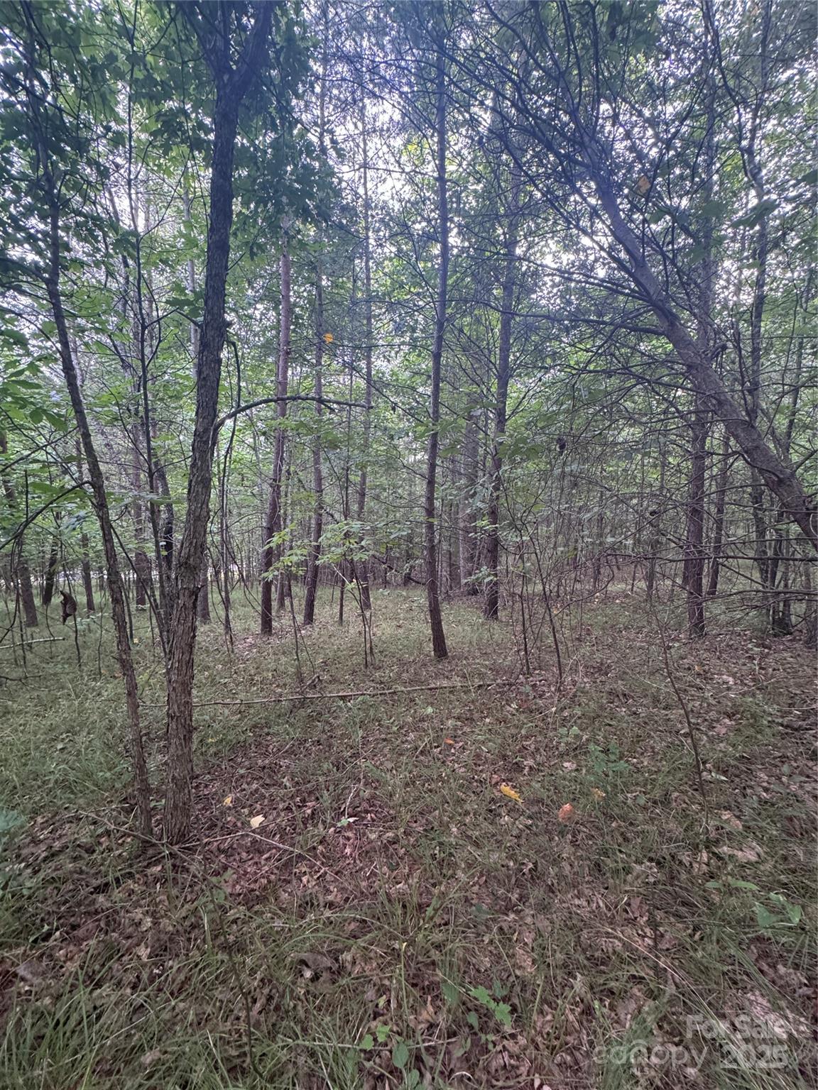 Lot at 0 Cross Creek Drive, Rutherfordton, photo 7 of 17
