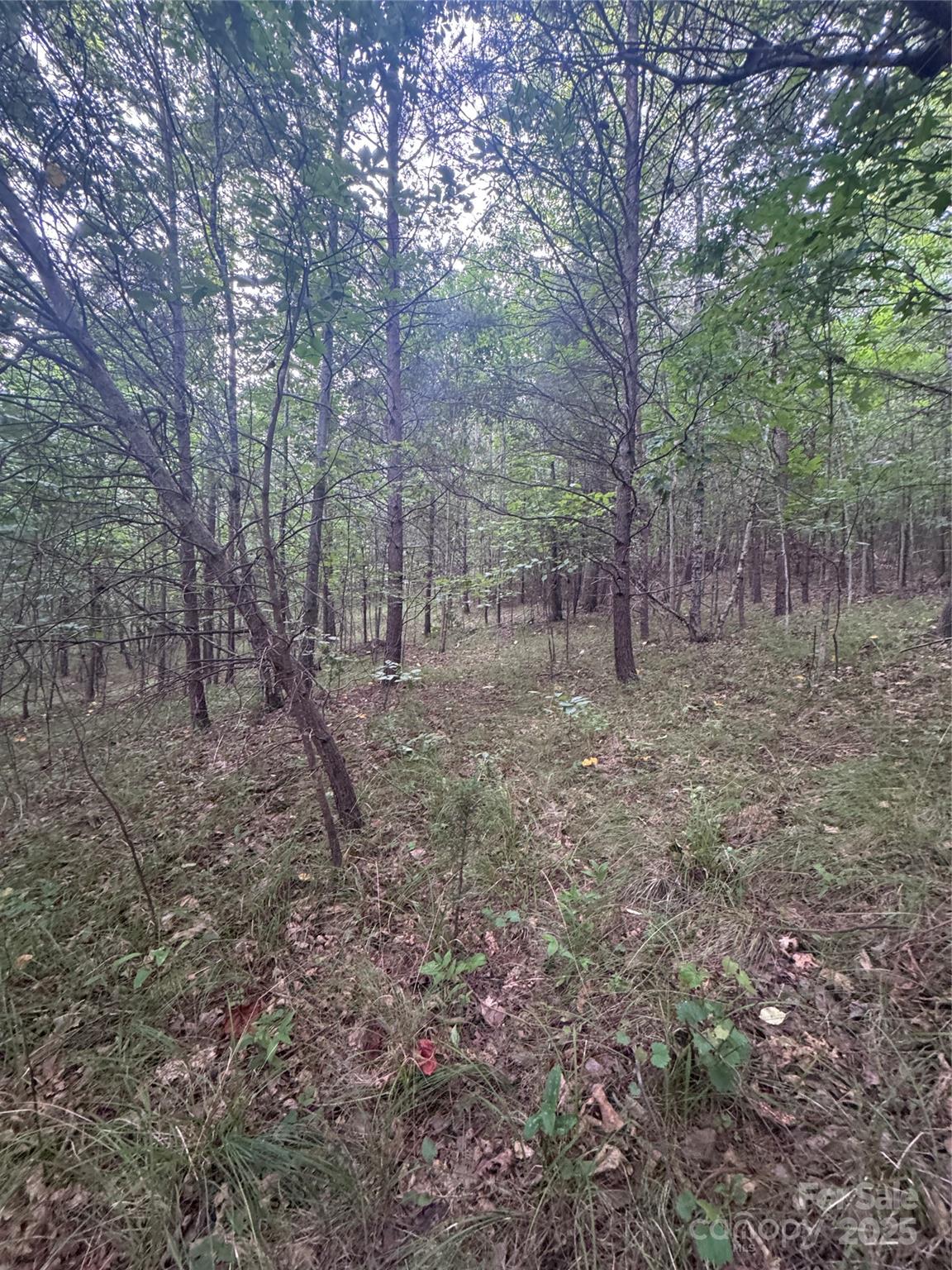 Lot at 0 Cross Creek Drive, Rutherfordton, photo 8 of 17
