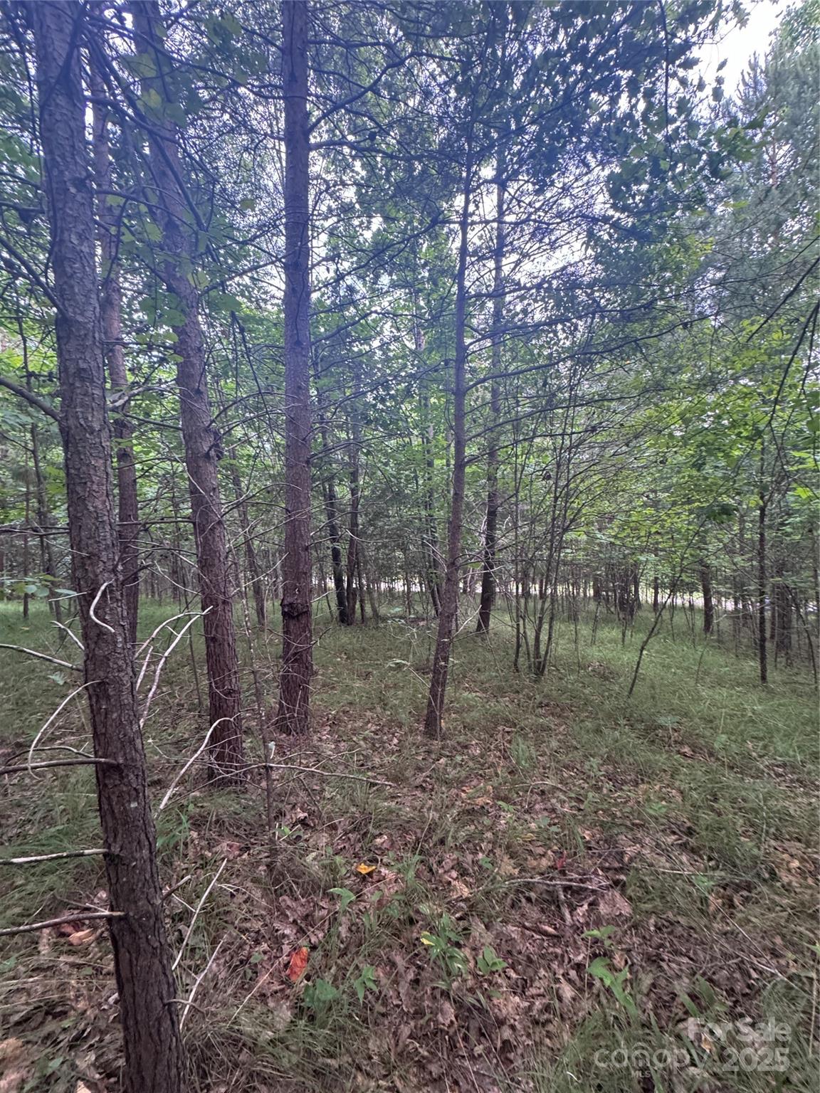 Lot at 0 Cross Creek Drive, Rutherfordton, photo 9 of 17