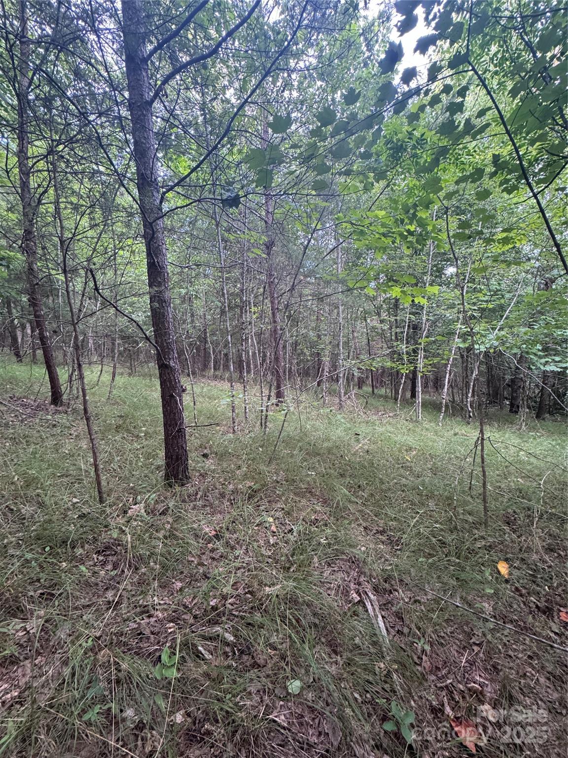 Lot at 0 Cross Creek Drive, Rutherfordton, photo 10 of 17