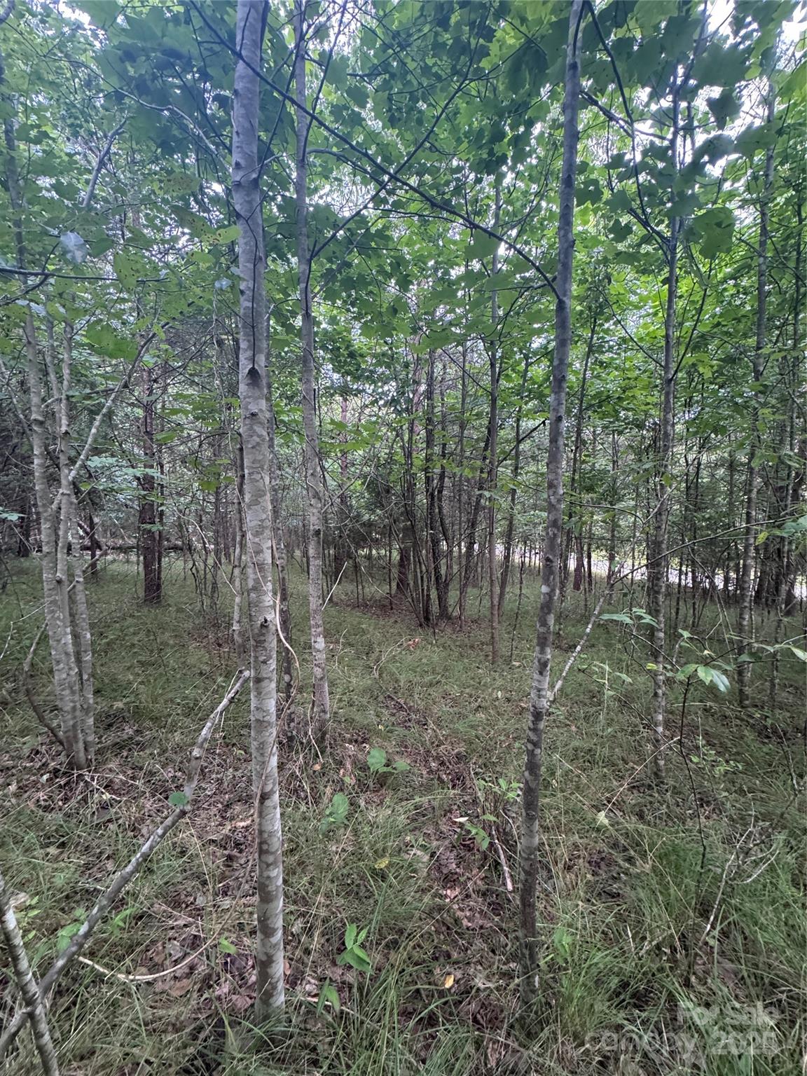Lot at 0 Cross Creek Drive, Rutherfordton, photo 11 of 17