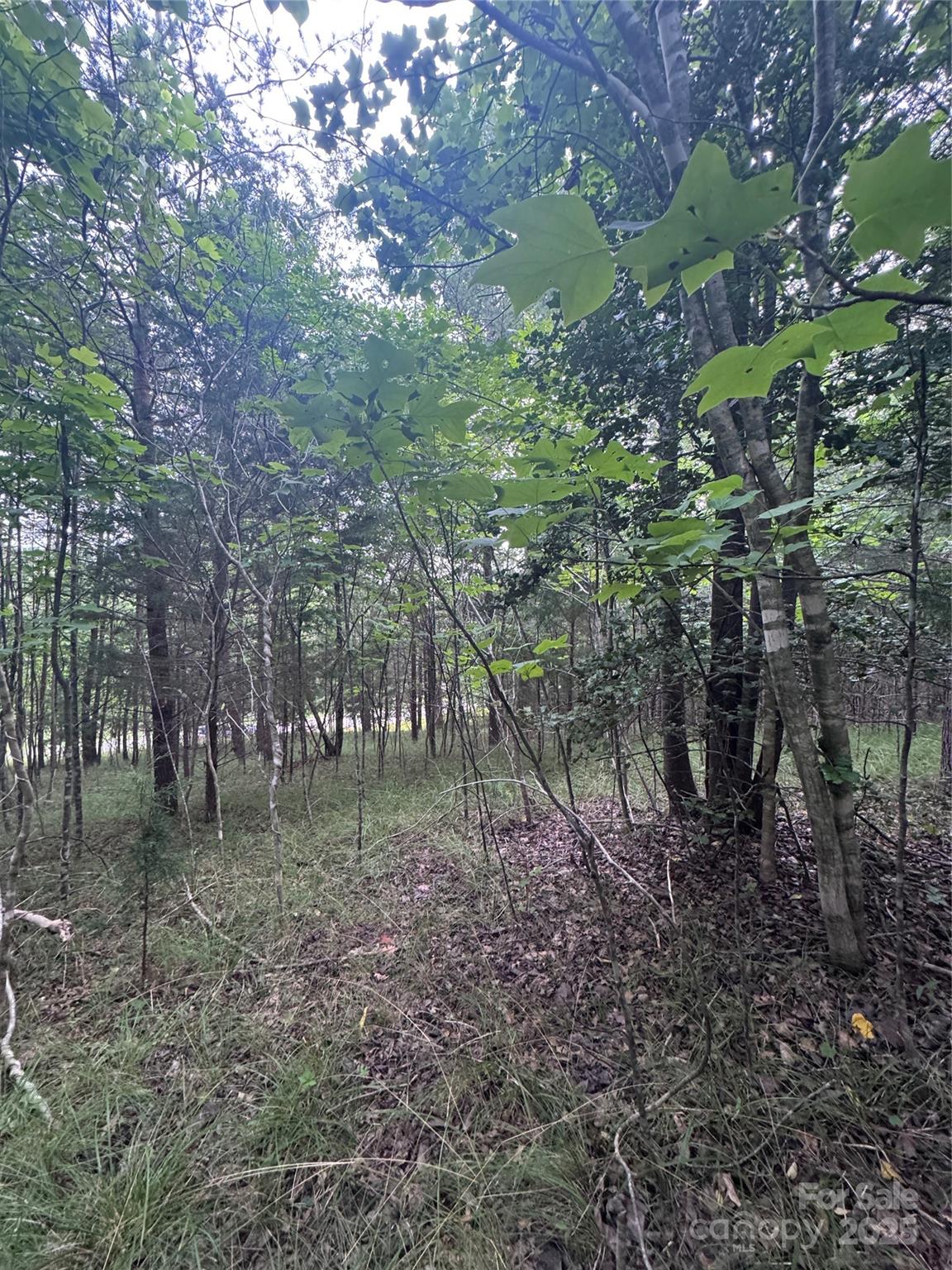 Lot at 0 Cross Creek Drive, Rutherfordton, photo 12 of 17