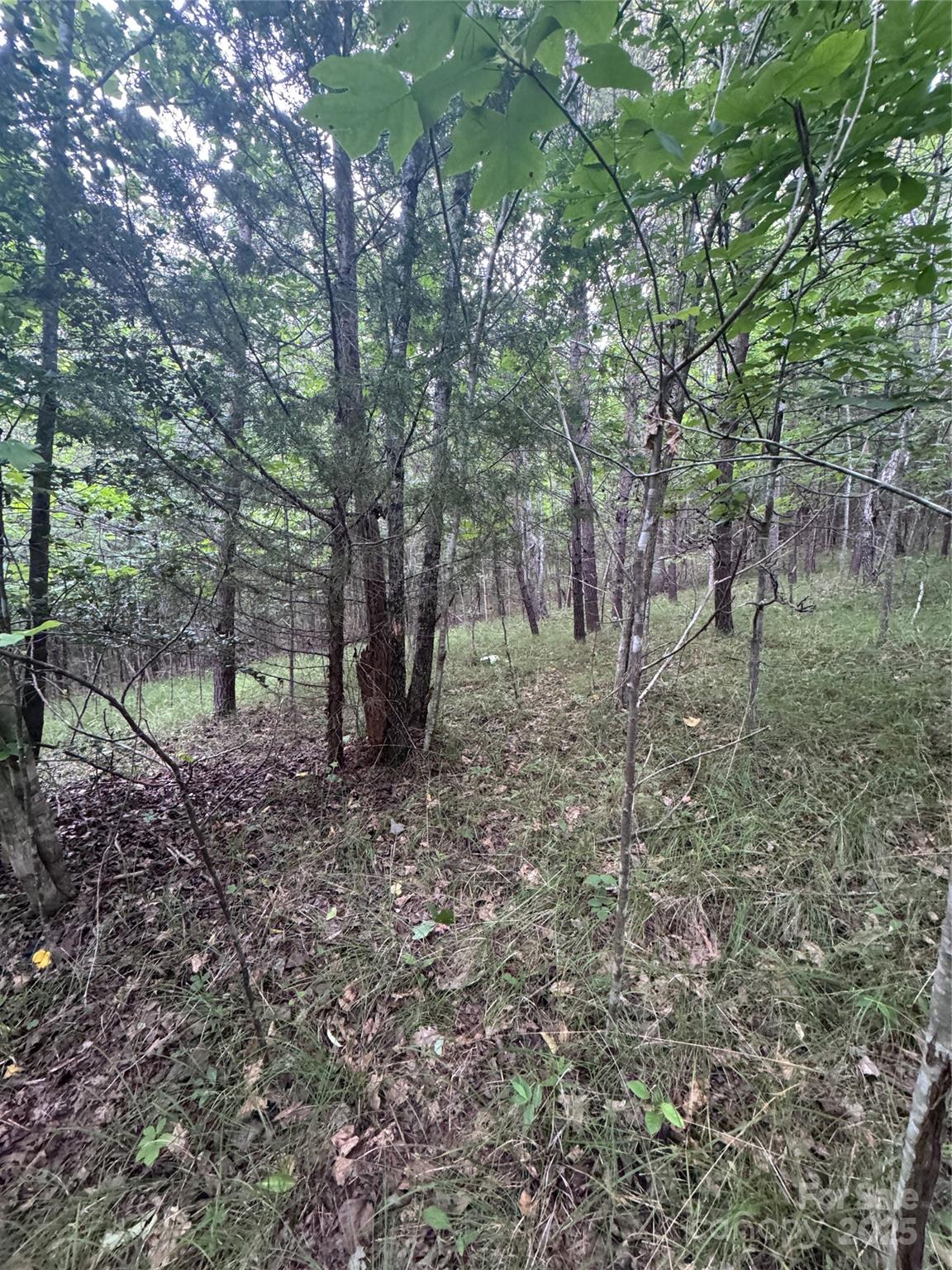 Lot at 0 Cross Creek Drive, Rutherfordton, photo 13 of 17