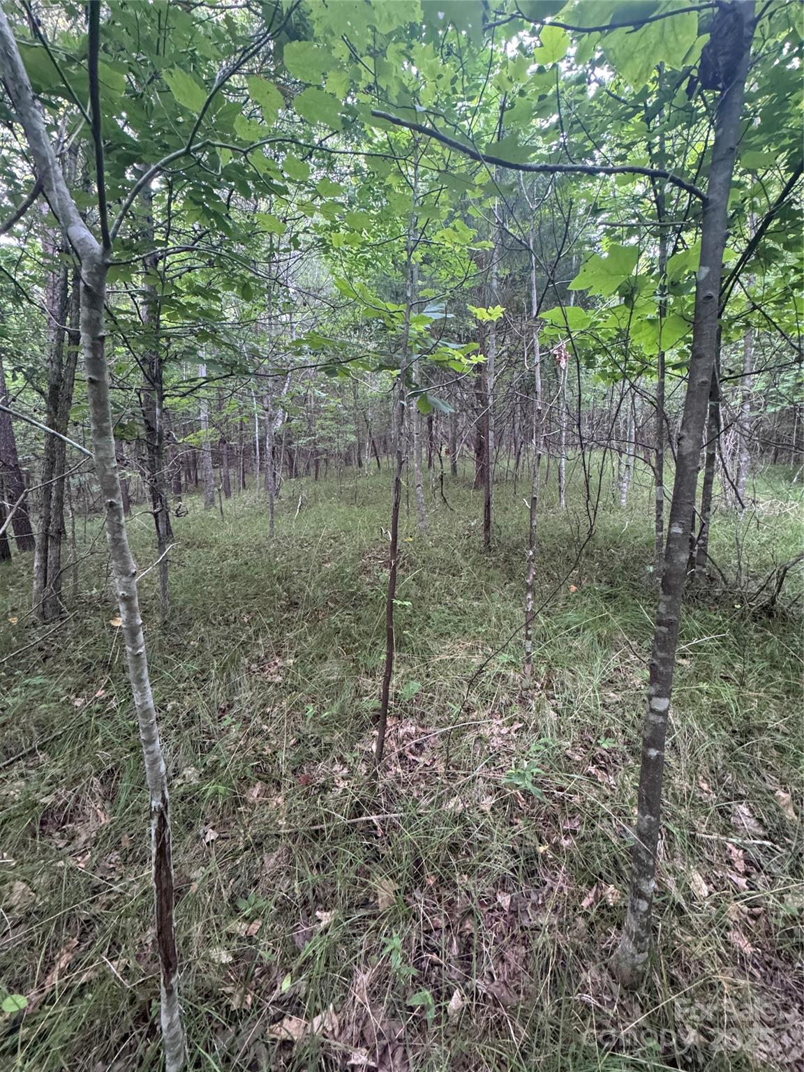 Lot at 0 Cross Creek Drive, Rutherfordton, photo 14 of 17