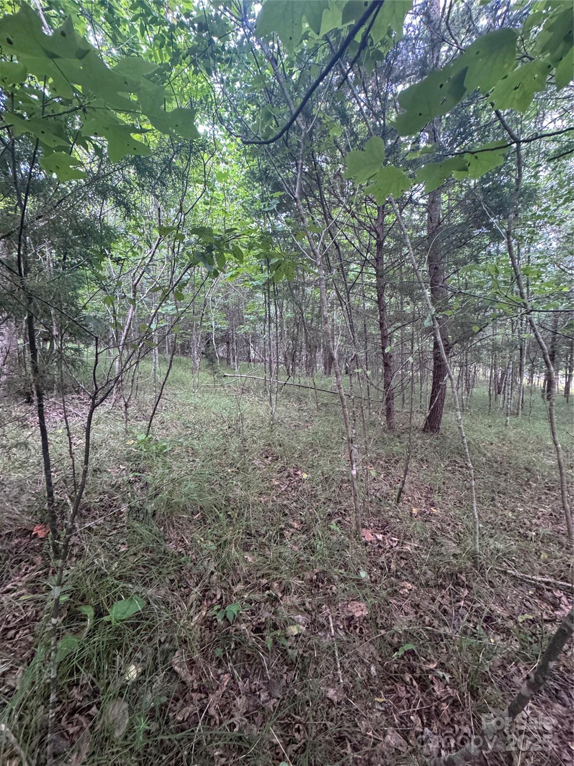 Lot at 0 Cross Creek Drive, Rutherfordton, photo 15 of 17