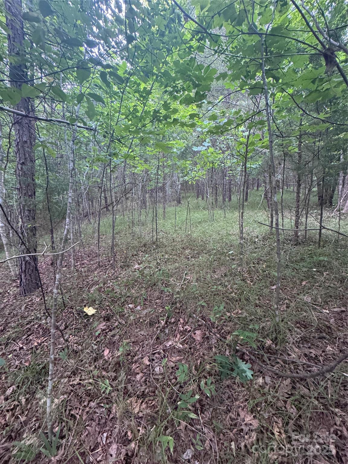 Lot at 0 Cross Creek Drive, Rutherfordton, photo 16 of 17