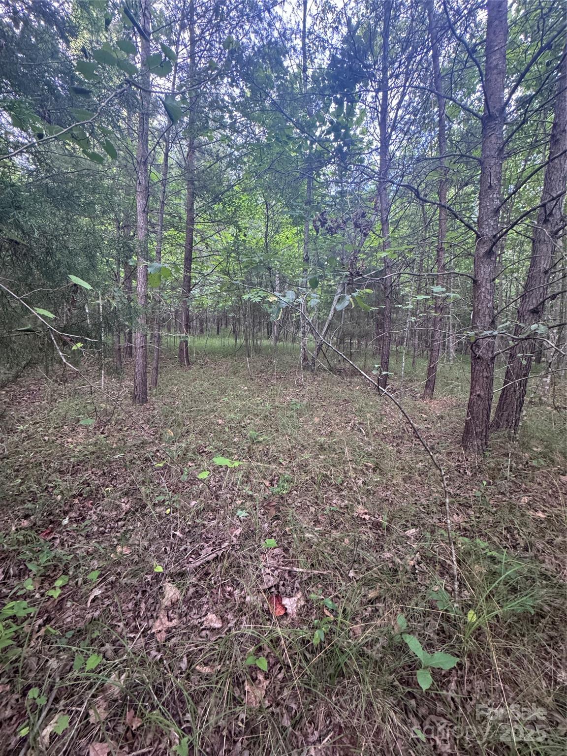 Lot at 0 Cross Creek Drive, Rutherfordton, photo 17 of 17