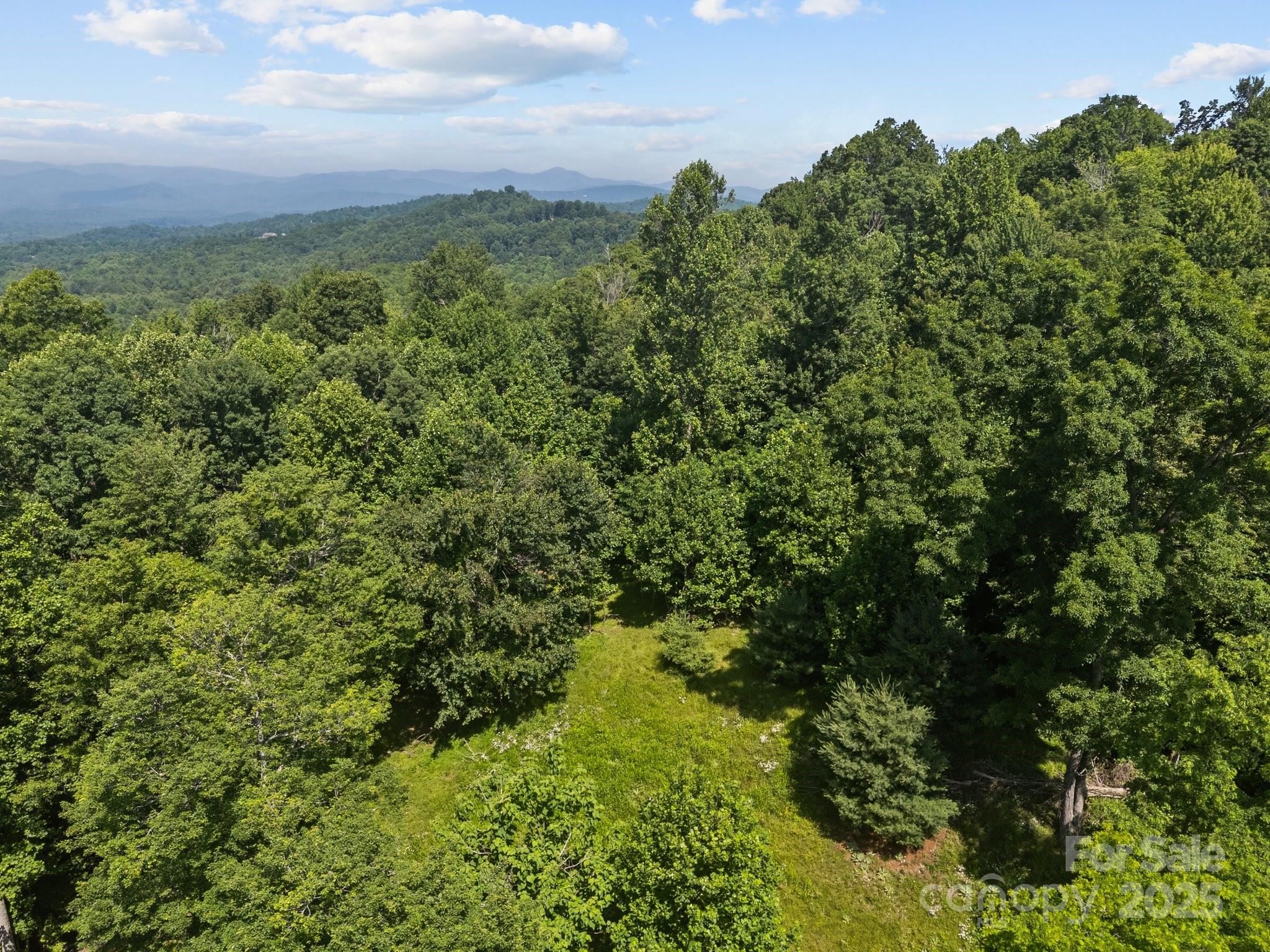 Lot at 1063 Somersby Parkway, Hendersonville, photo 6 of 16