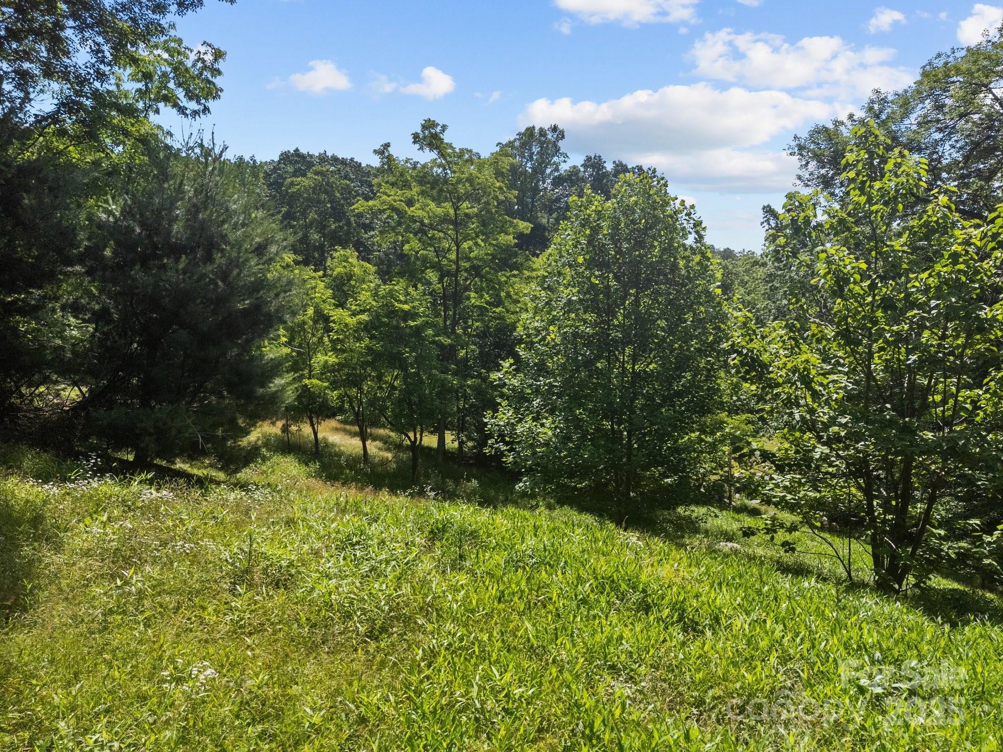 Lot at 1063 Somersby Parkway, Hendersonville, photo 8 of 16