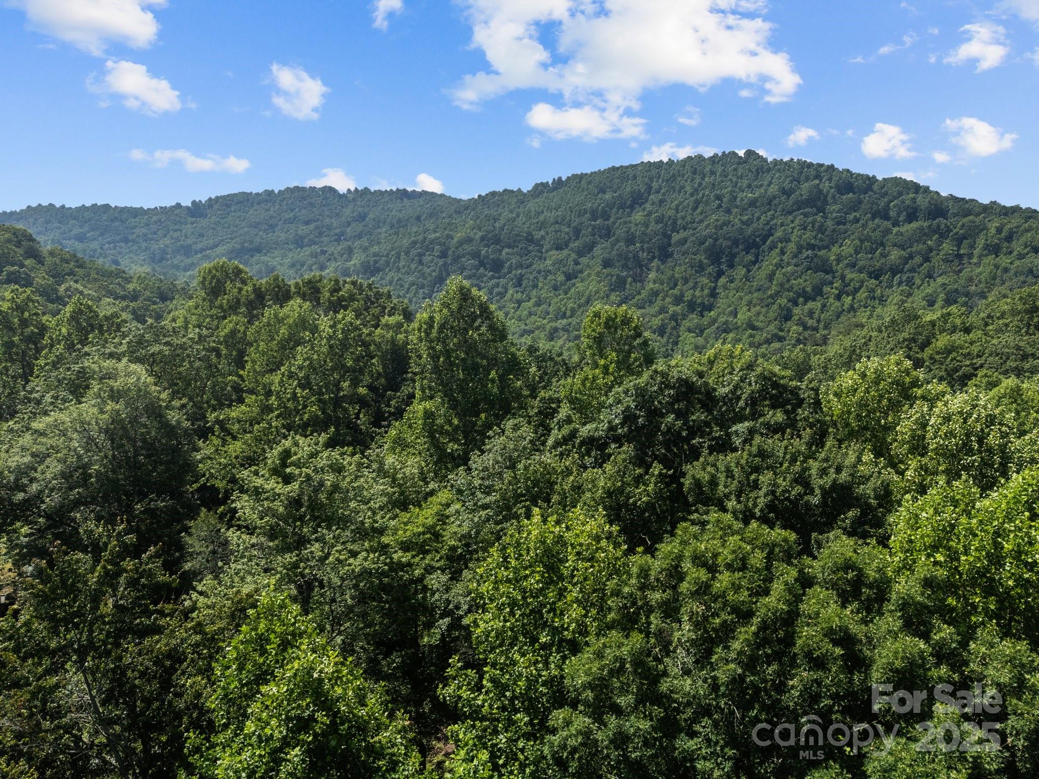Lot at 1063 Somersby Parkway, Hendersonville, photo 11 of 16