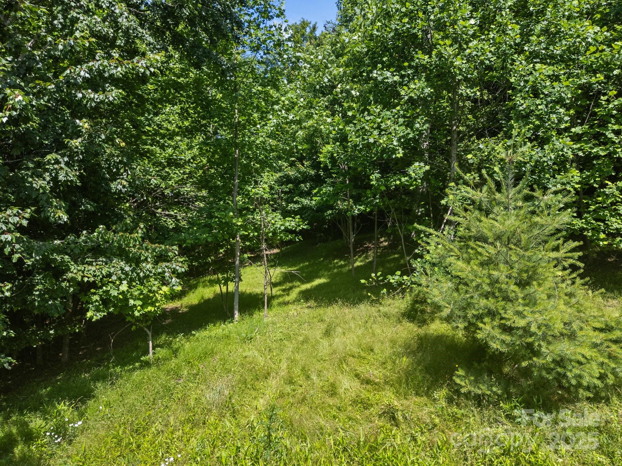 Lot at 1063 Somersby Parkway, Hendersonville, photo 15 of 16