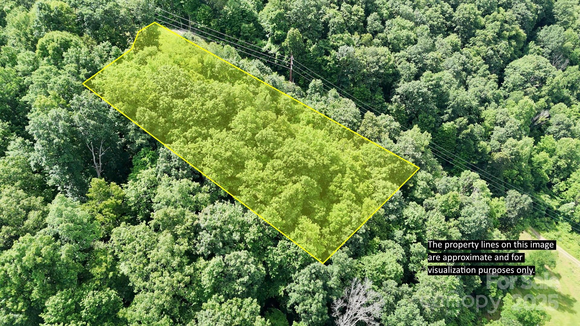 Lot at 00 Liner Cove Road, Waynesville, photo 2 of 8