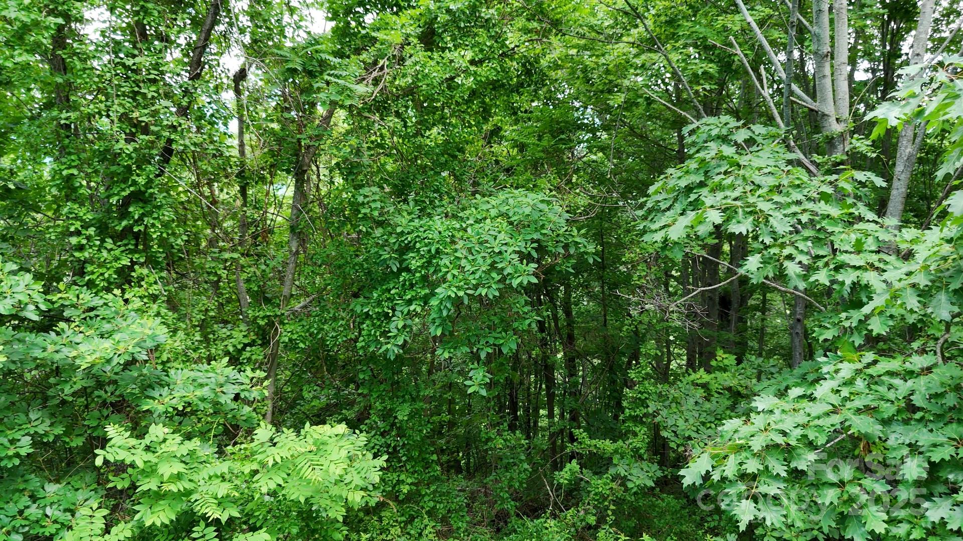 Lot at 00 Liner Cove Road, Waynesville, photo 6 of 8