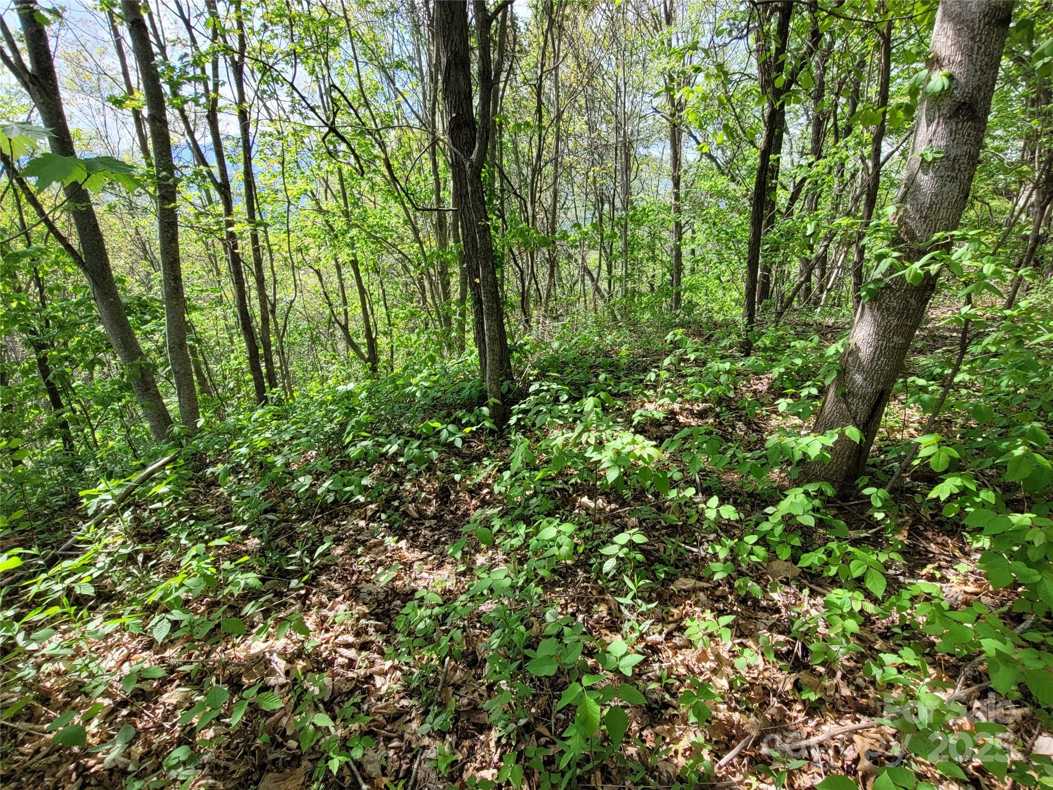 Lot at 00 Liner Cove Road, Waynesville, photo 7 of 8
